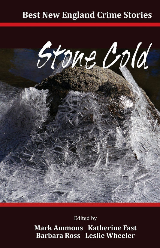 Best New England Crime Stories 2014: Stone Cold book cover