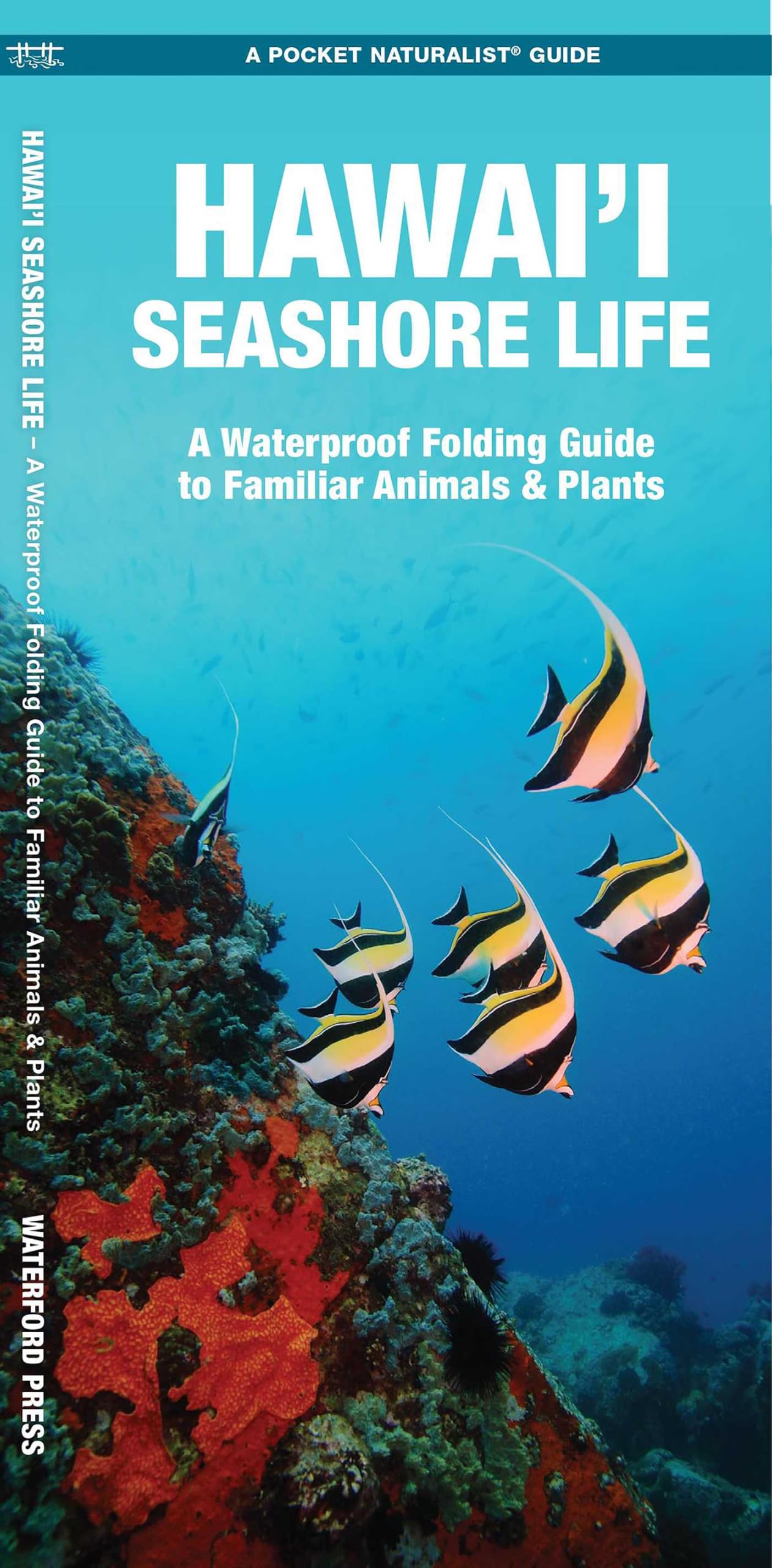Hawai'i Seashore Life: A Folding Pocket Guide to Familiar Animals & Plants book cover