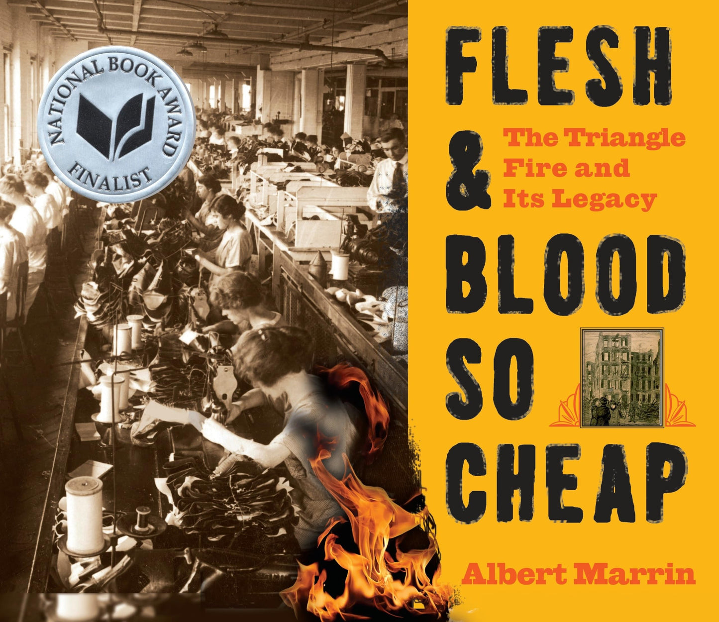 Flesh & Blood So Cheap: The Triangle Fire and Its Legacy book cover