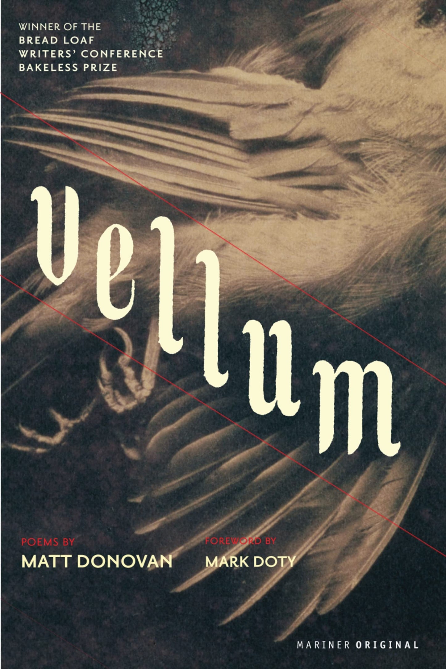 Vellum book cover