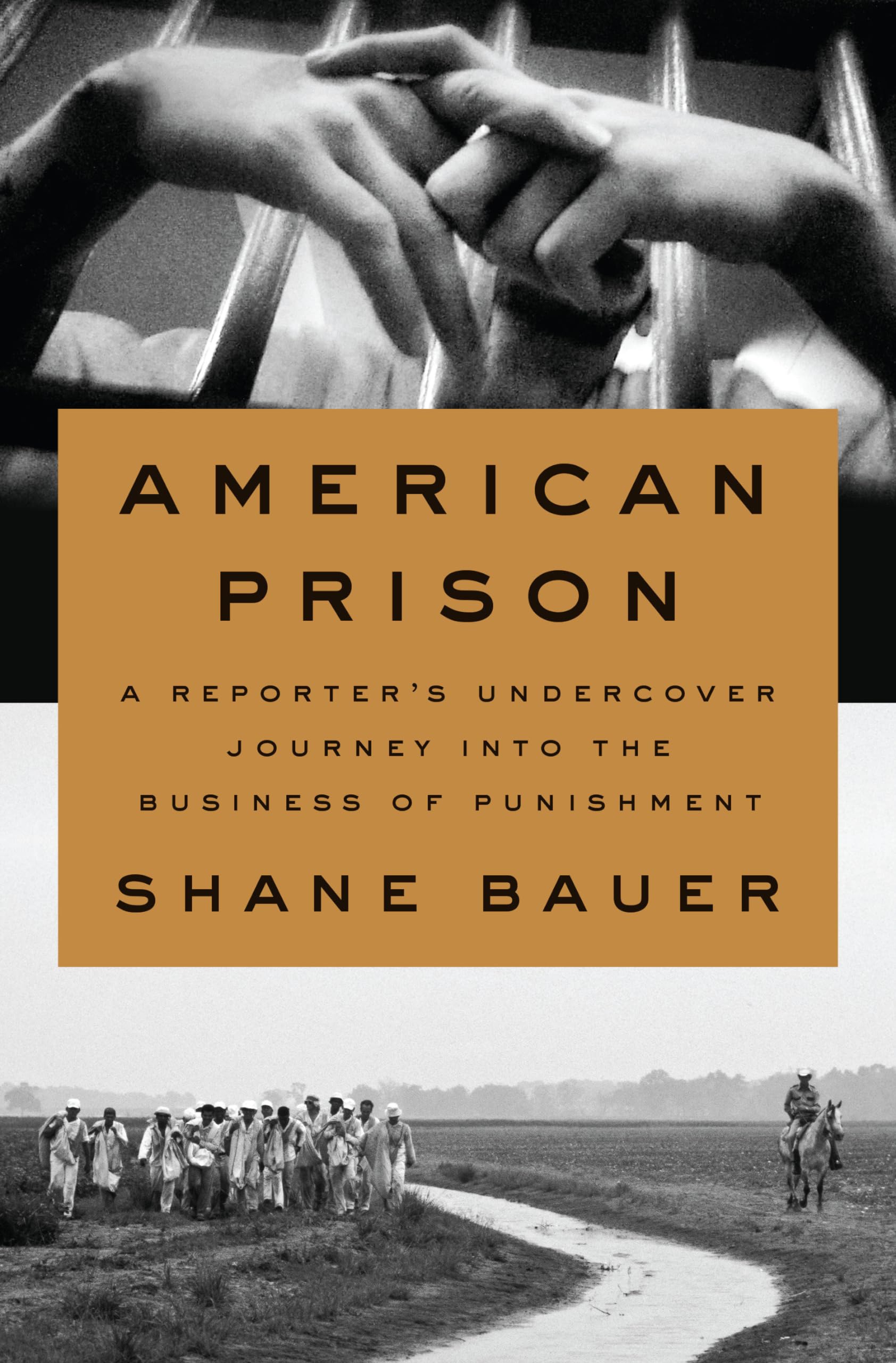 American Prison: A Reporter's Undercover Journey Into the Business of Punishment book cover