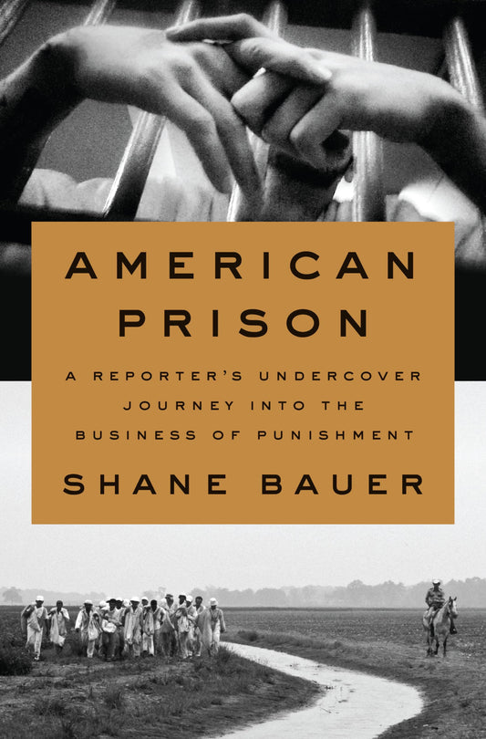 American Prison: A Reporter's Undercover Journey Into the Business of Punishment book cover