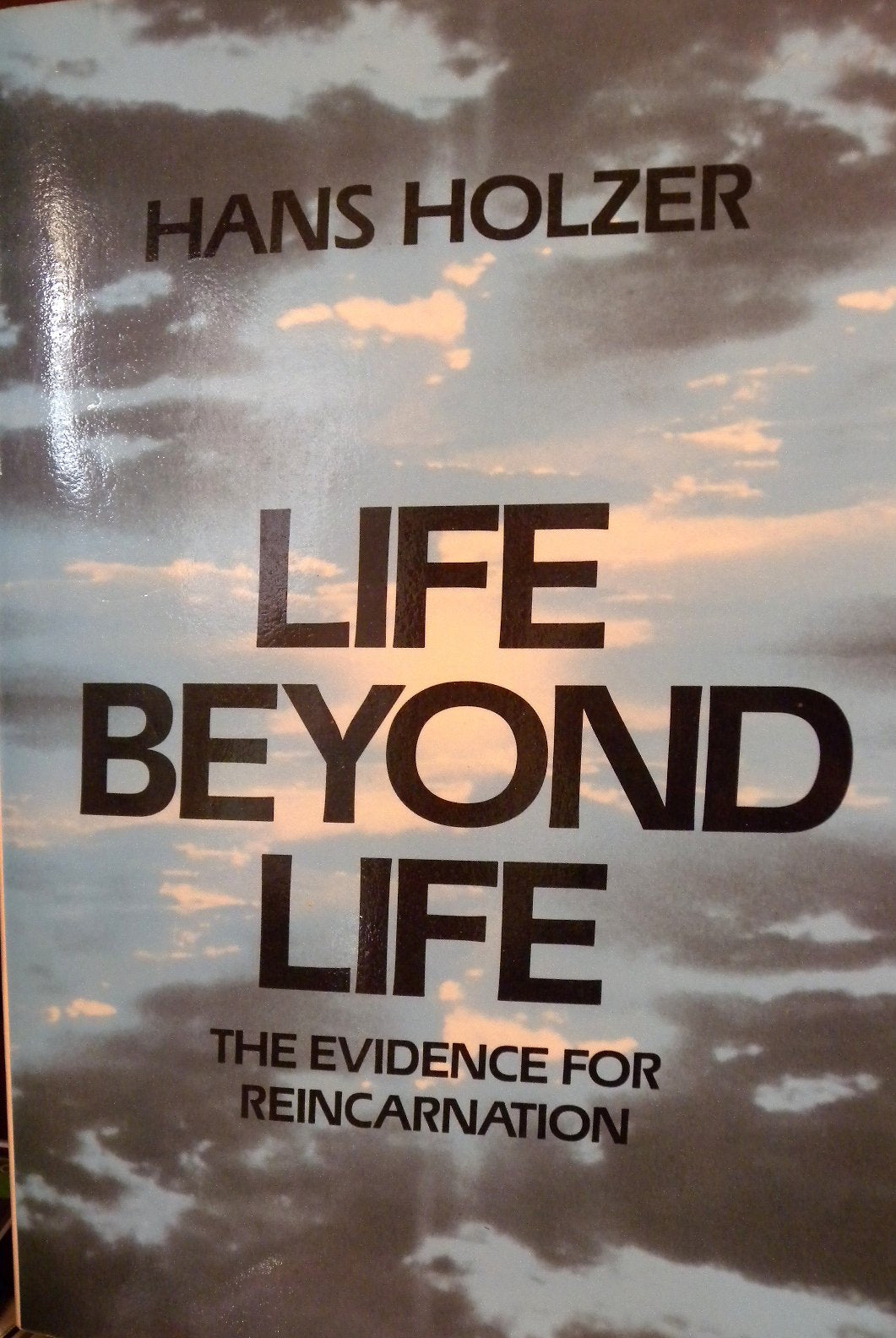 Life Insurance book cover