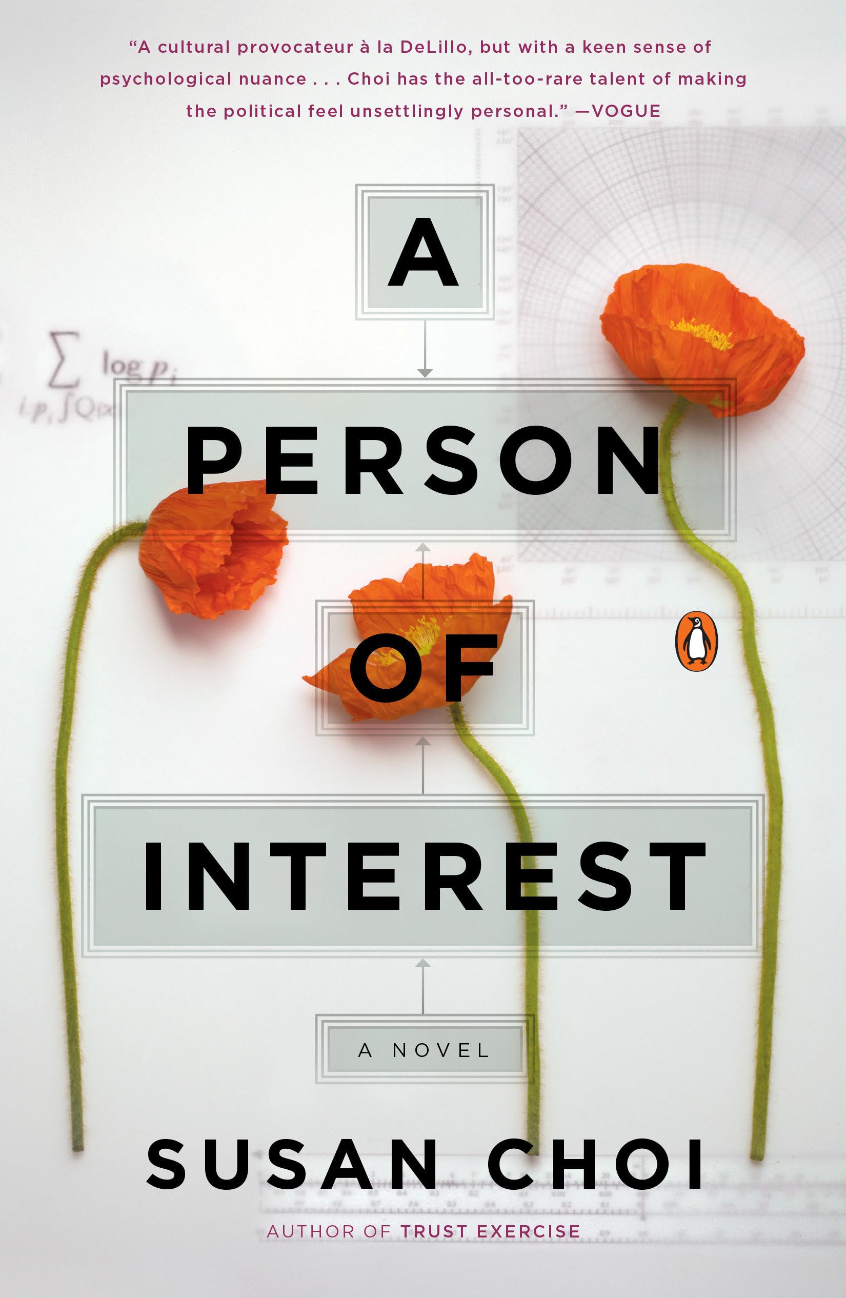 Person of Interest book cover