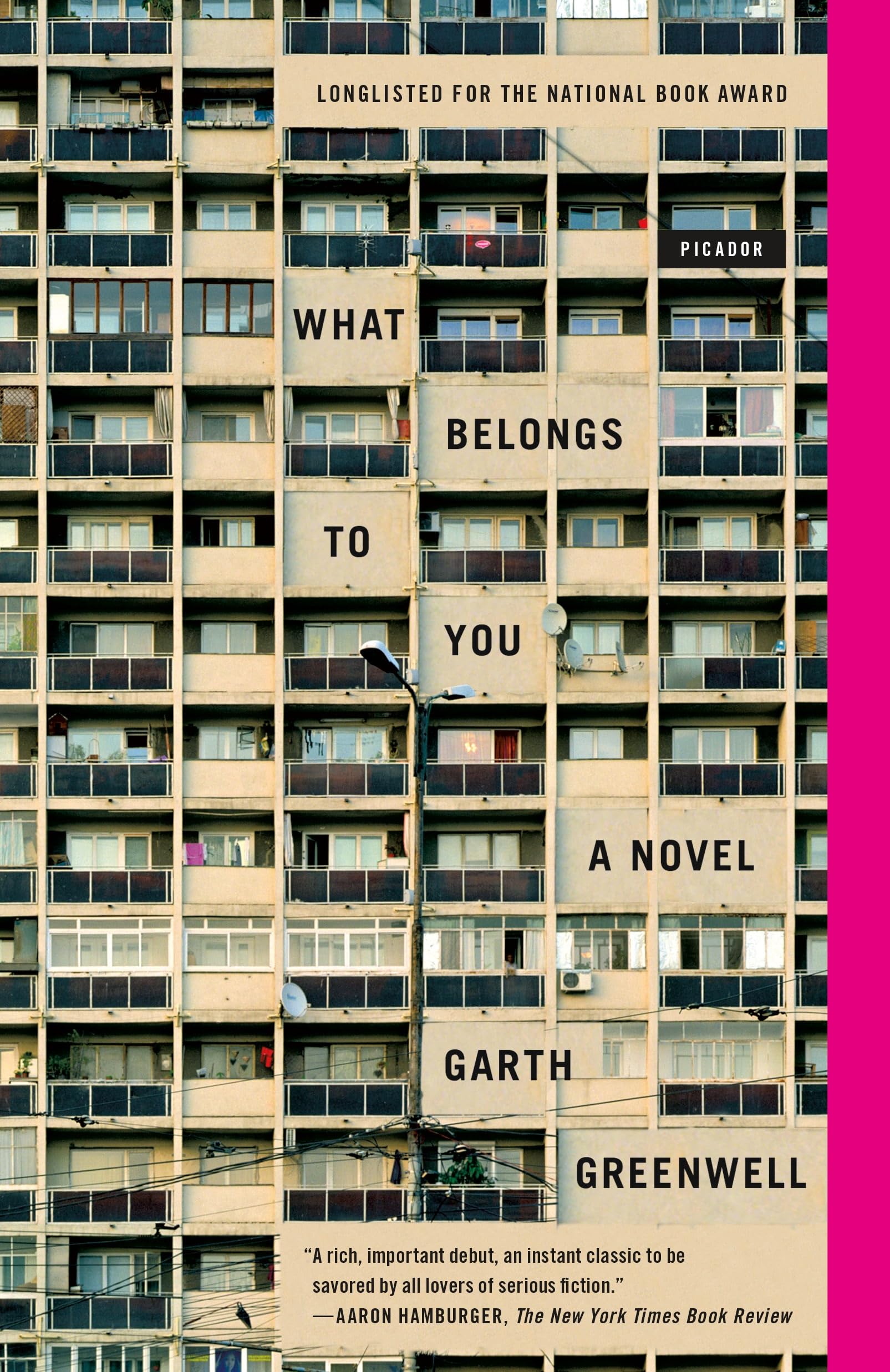 What Belongs to You book cover