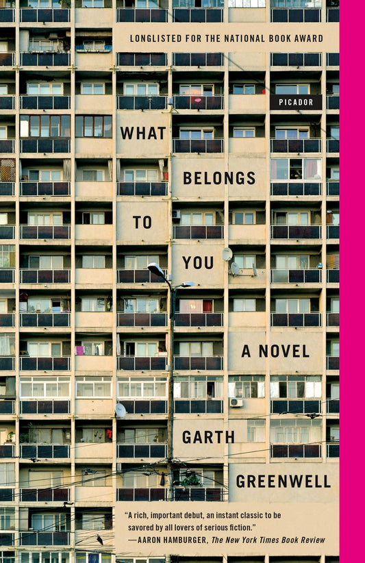 What Belongs to You book cover