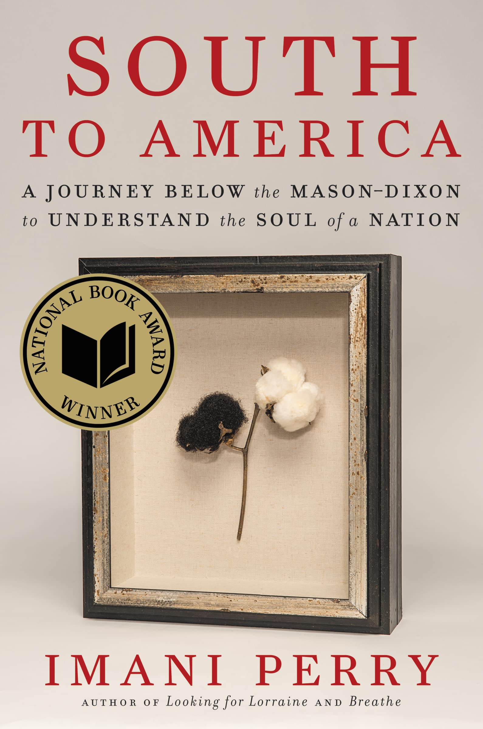 South to America: A Journey Below the Mason-Dixon to Understand the Soul of a Nation book cover