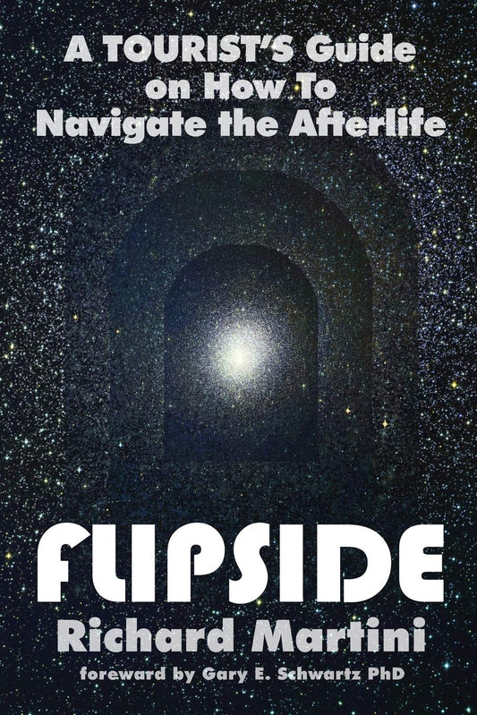 Flipside: A Tourist's Guide on How to Navigate the Afterlife book cover