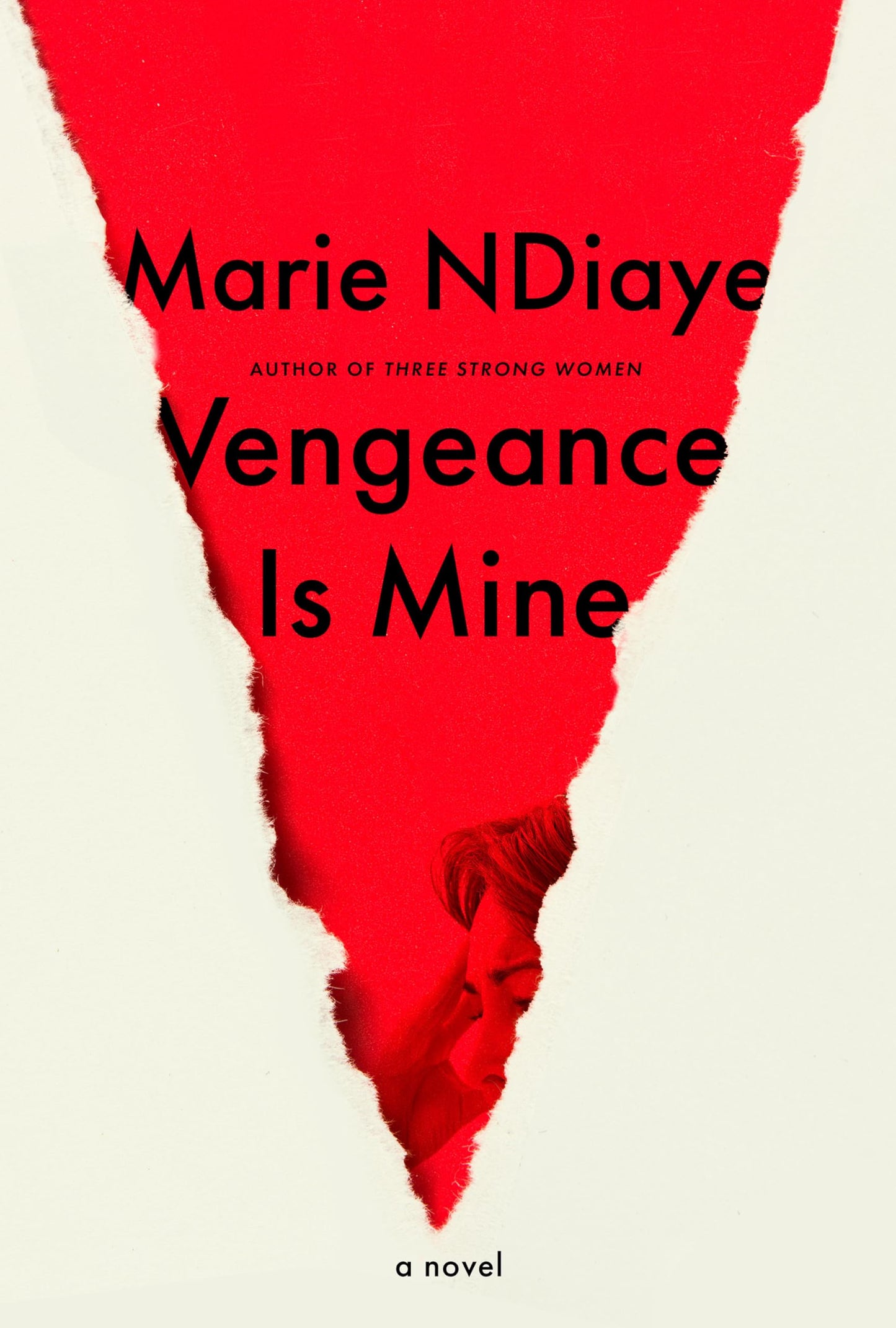 Vengeance Is Mine book cover