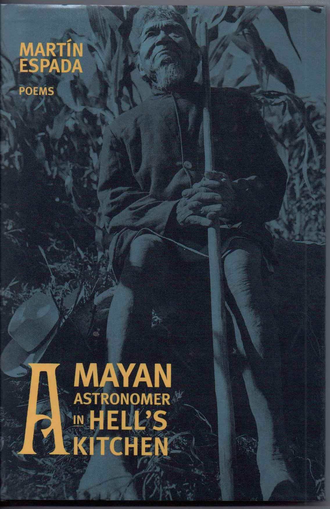 Mayan Astronomer in Hell's Kitchen book cover