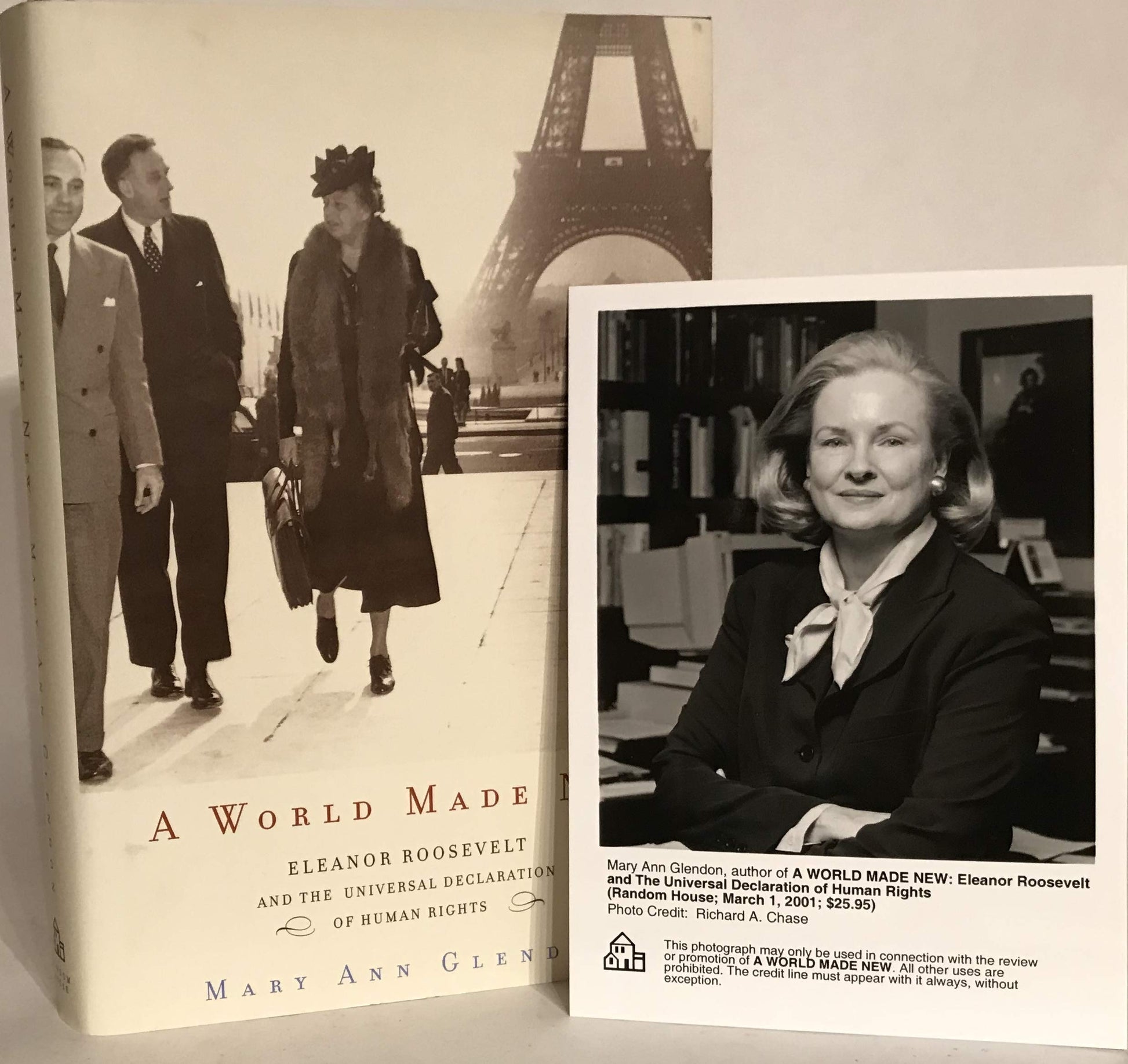 A World Made New: Eleanor Roosevelt and the Universal Declaration of Human Rights book cover