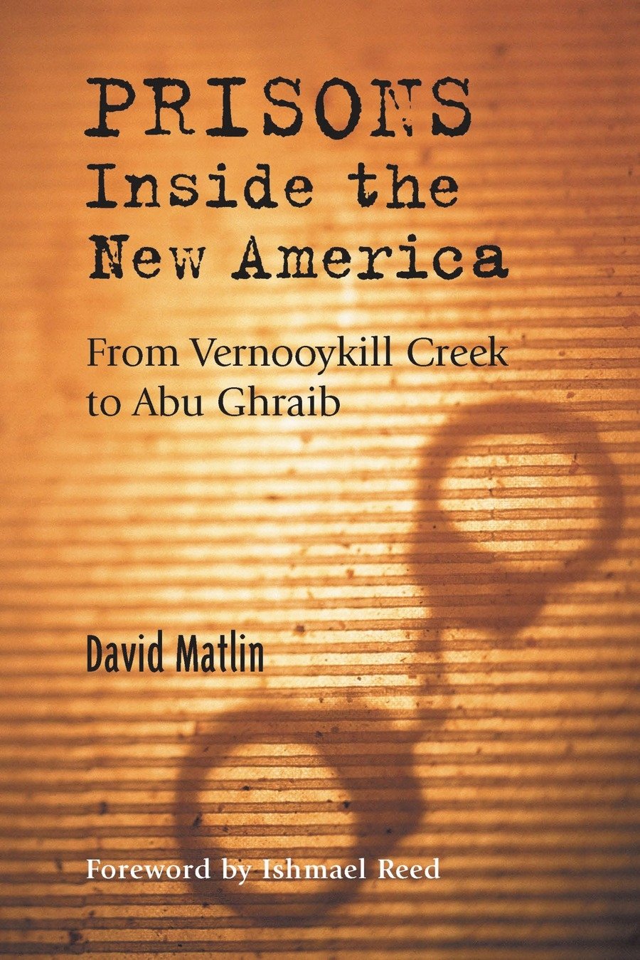 Prisons Inside the New America: From Vernooykill Creek to Abu Ghraib book cover