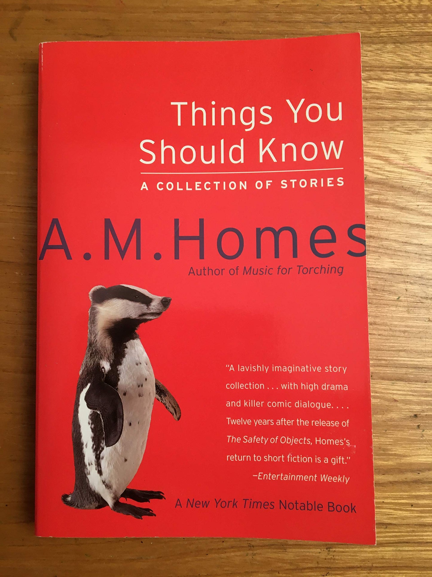 Things You Should Know: A Collection of Stories book cover