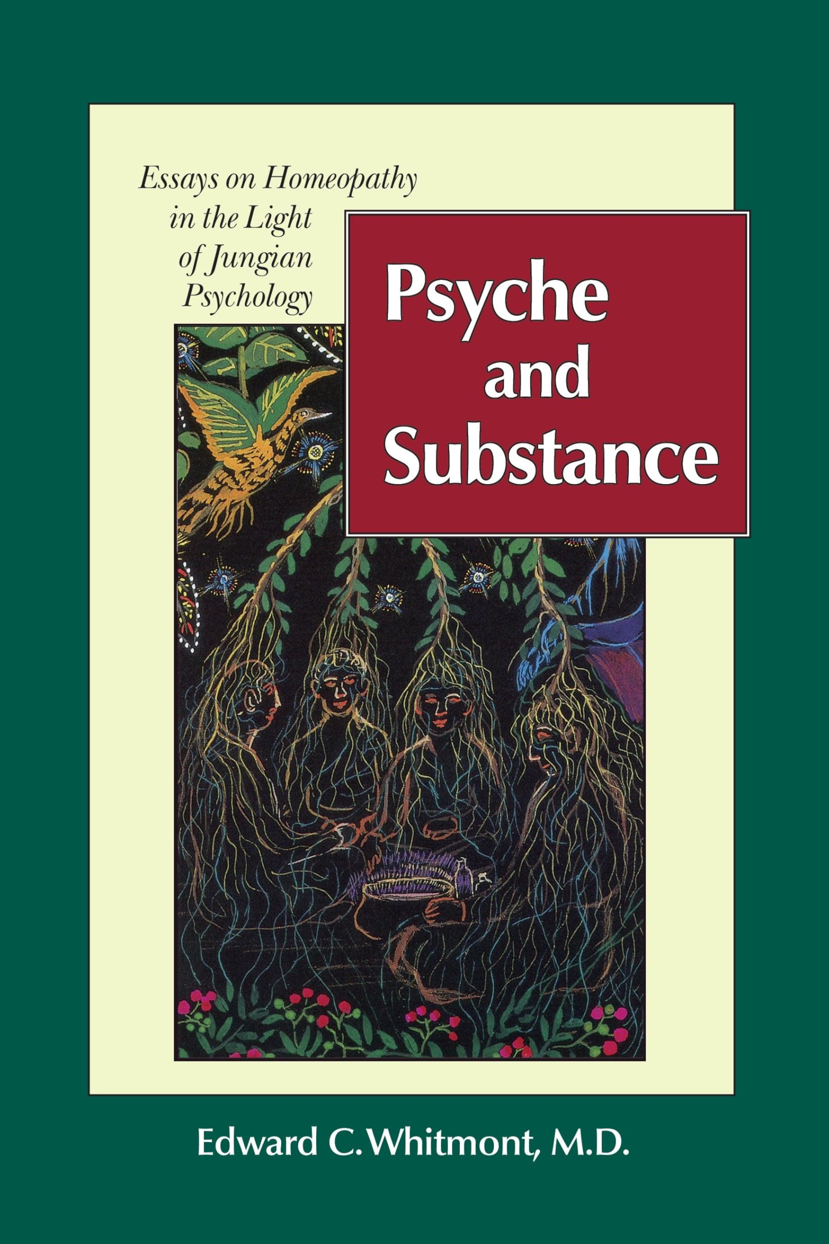 Psyche and Substance: Essays on Homeopathy in the Light of Jungian Psychology (Revised) book cover