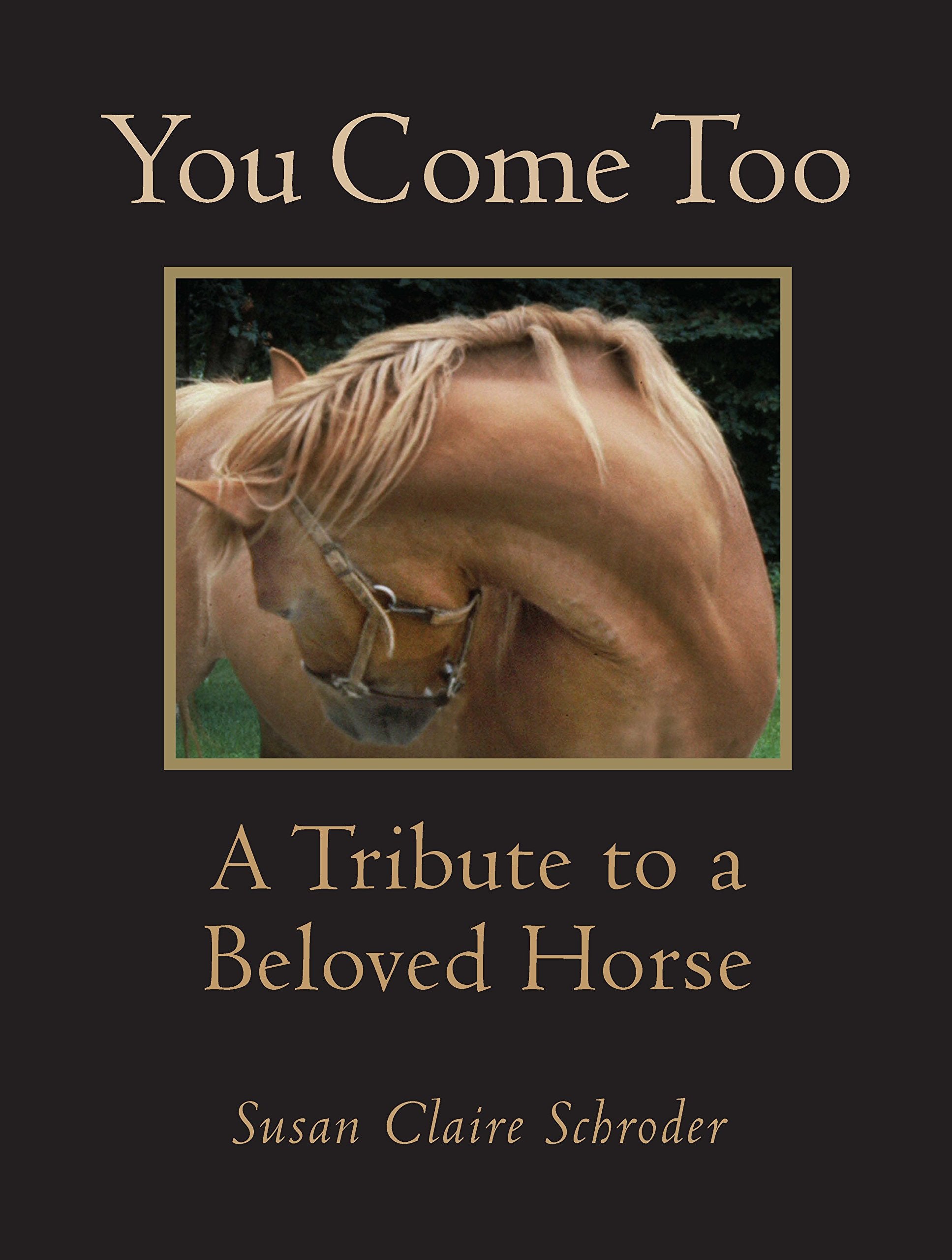 You Come Too: A Tribute to a Beloved Horse book cover