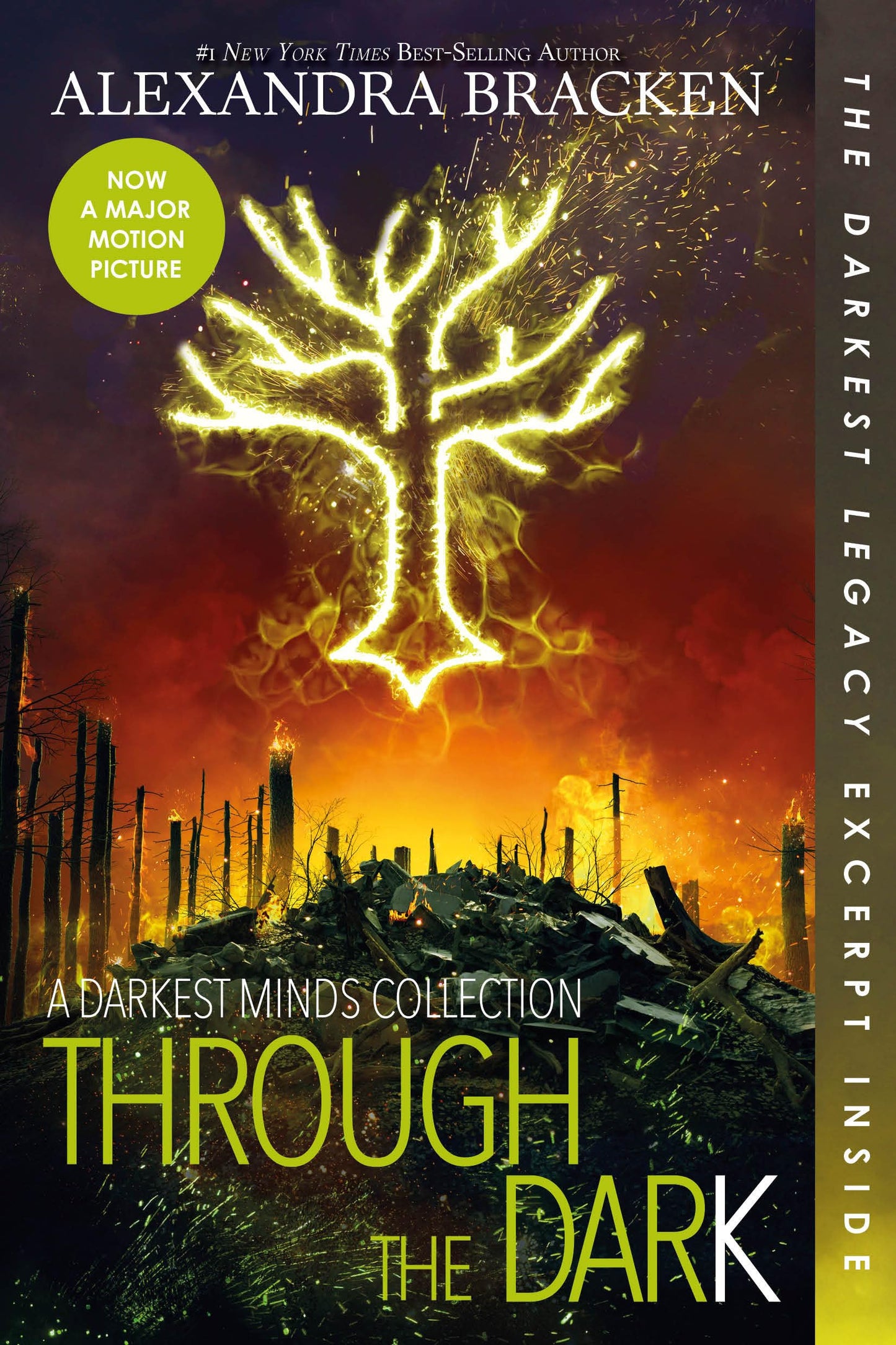 Through the Dark (Bonus Content)-A Darkest Minds Collection book cover