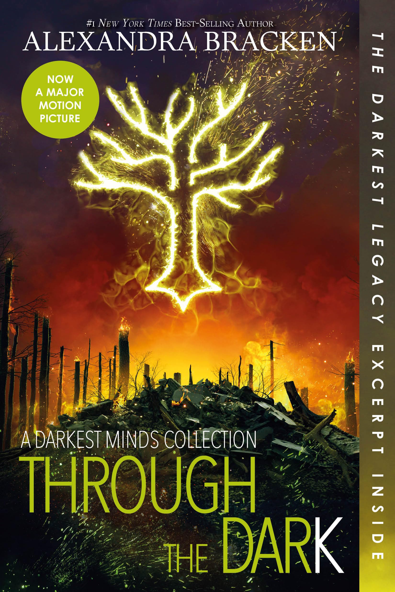 Through the Dark (Bonus Content)-A Darkest Minds Collection book cover