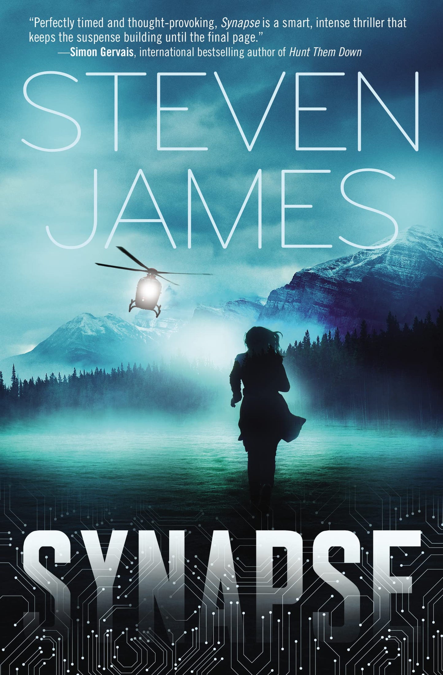 Synapse book cover