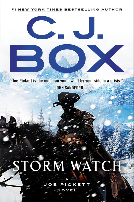 Storm Watch book cover
