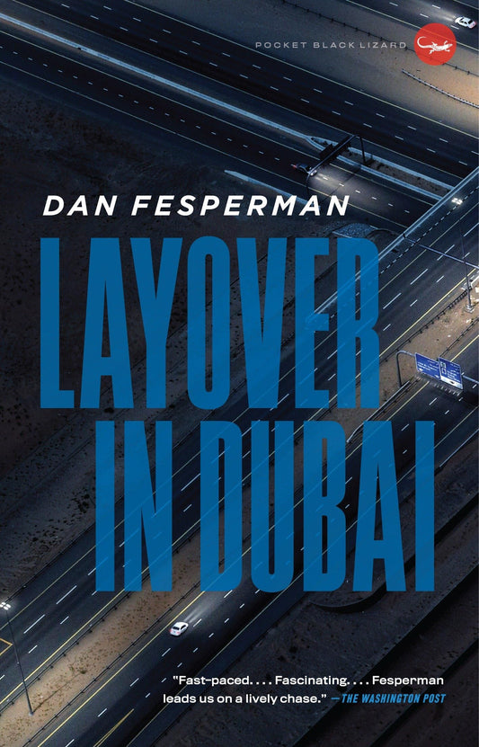 Layover in Dubai book cover