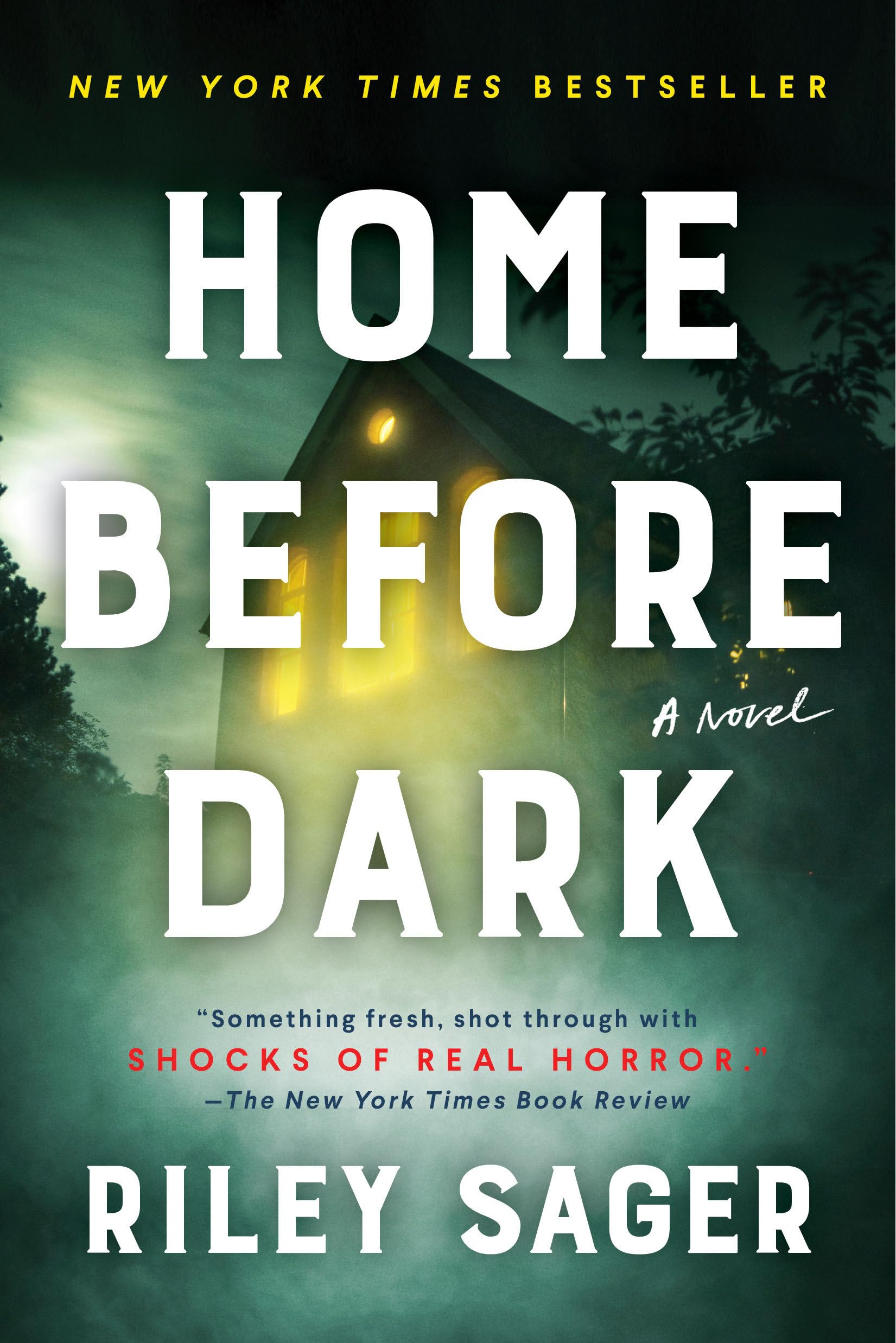 Home Before Dark book cover