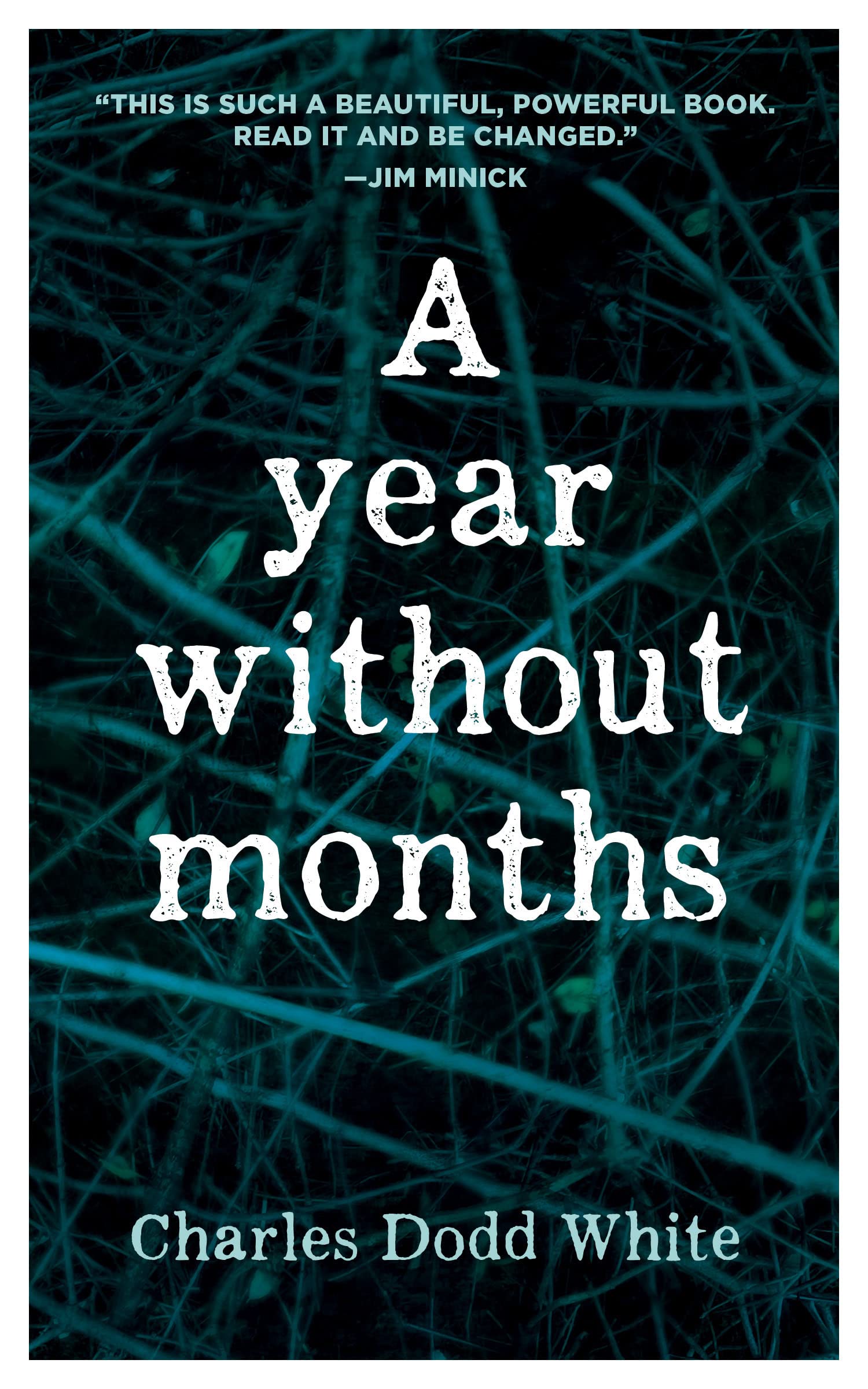 Year Without Months book cover