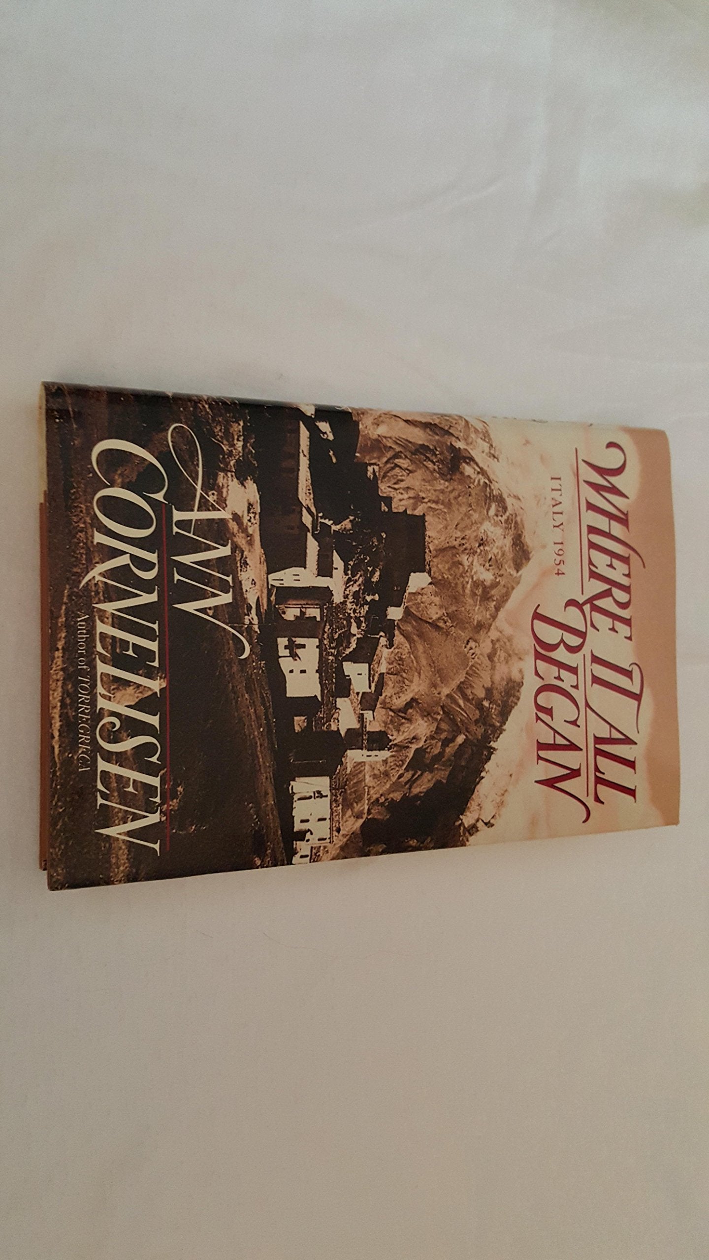 Where It All Began book cover