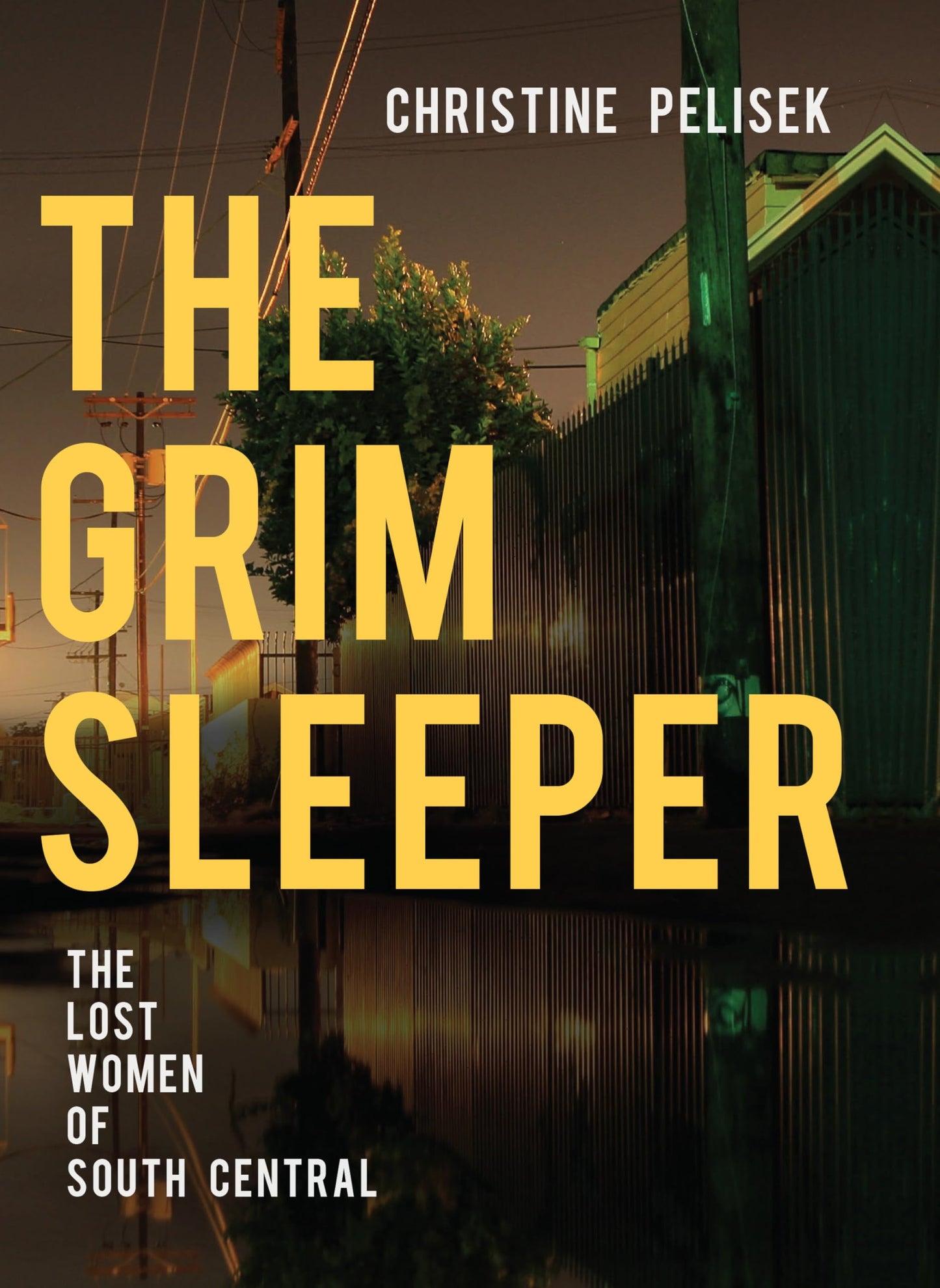 Grim Sleeper: The Lost Women of South Central book cover