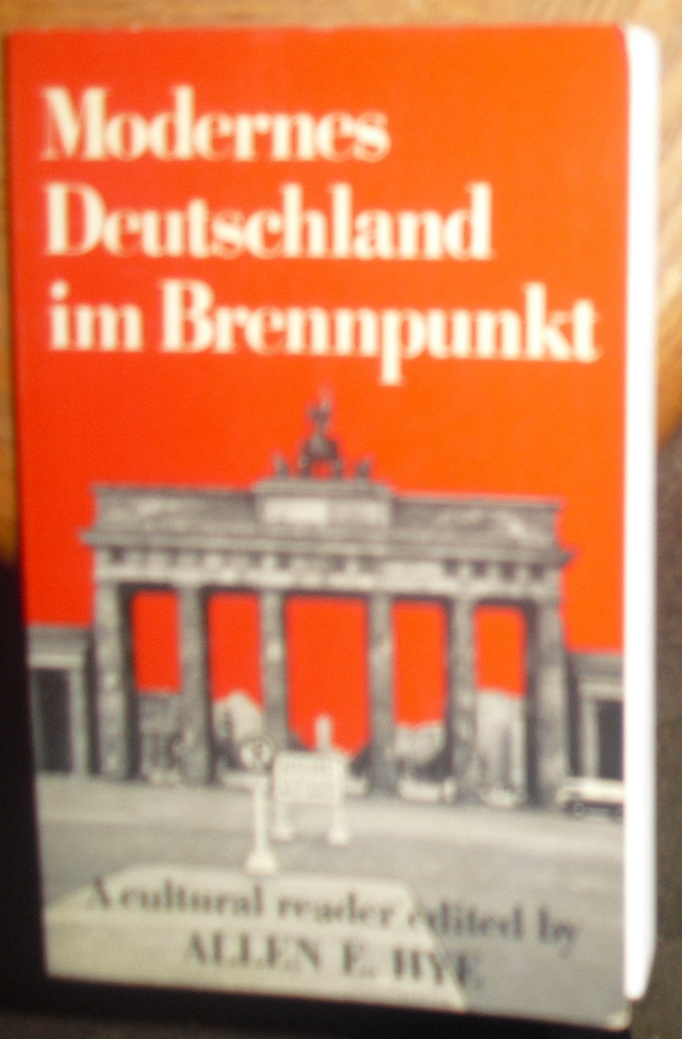 Modernes Deutschland Im Brennpunkt: A Cultural Reader