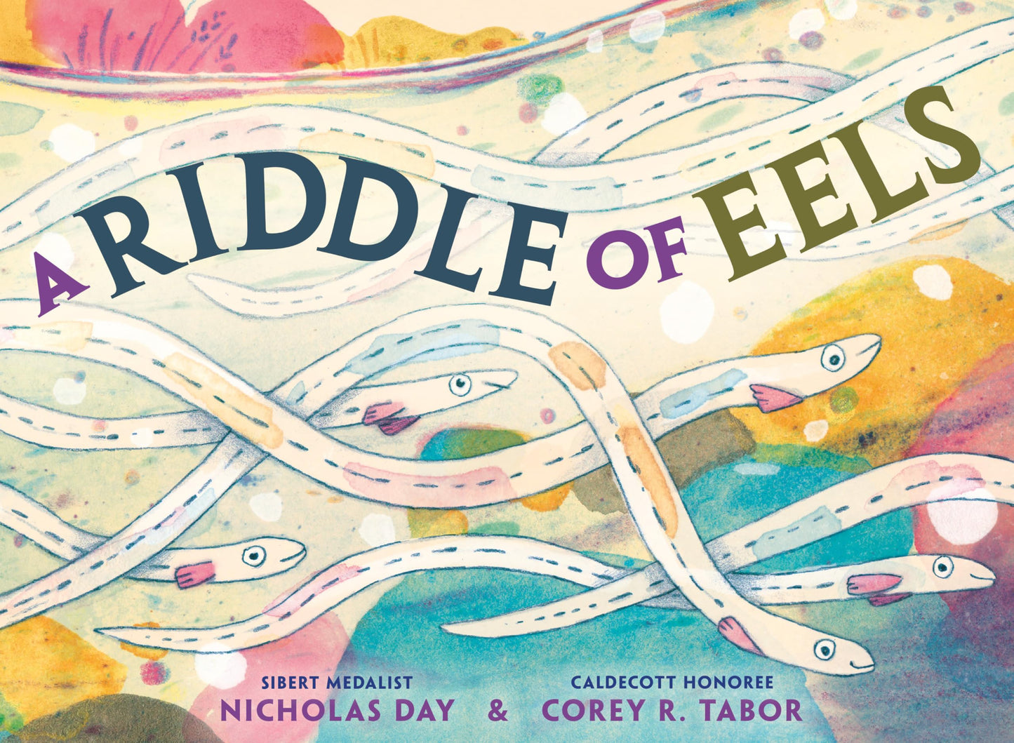 A Riddle of Eels book cover