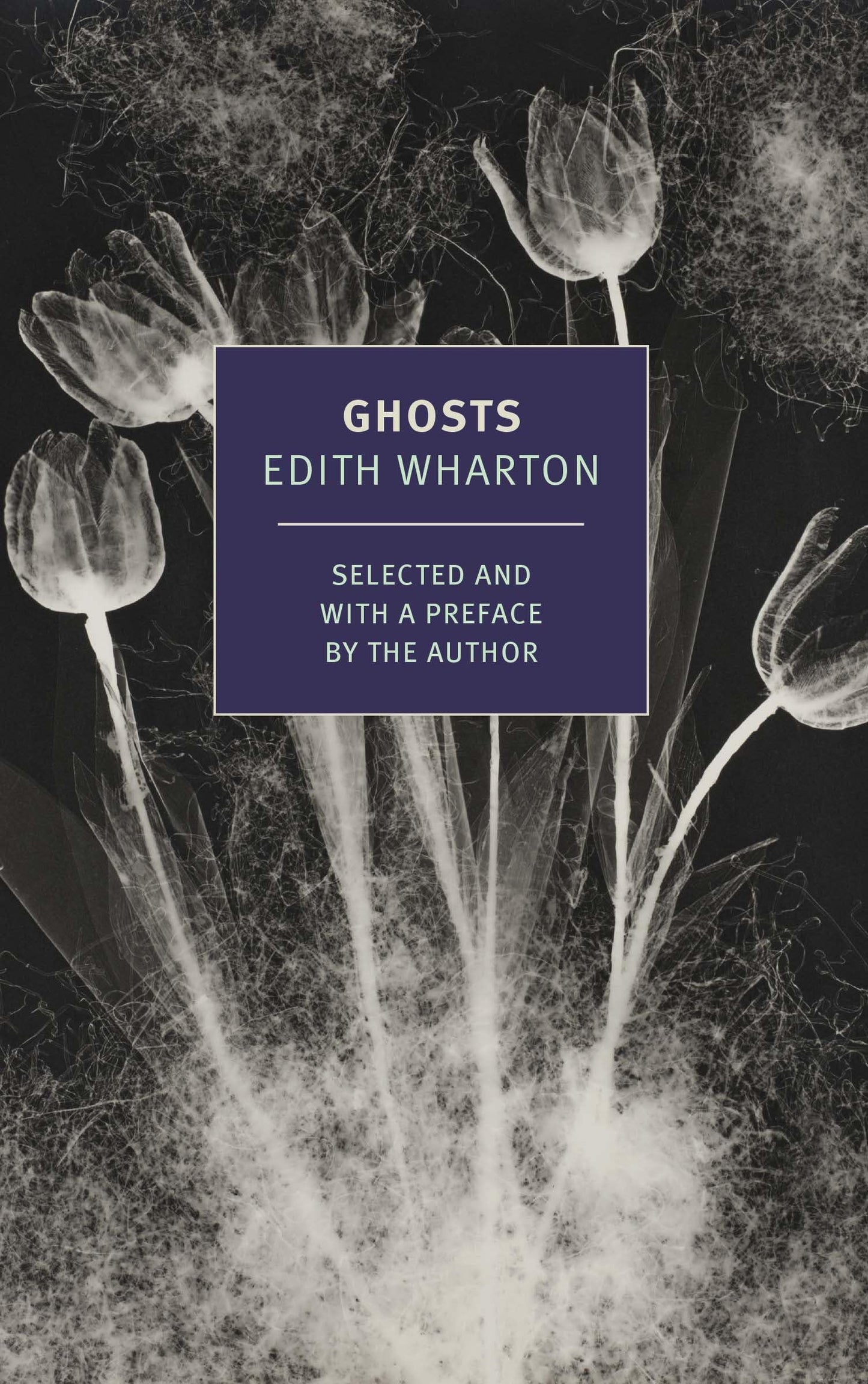 Ghosts book cover