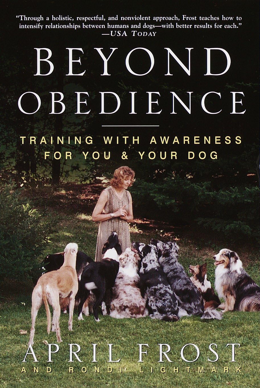 Beyond Obedience: Training with Awareness for You & Your Dog book cover