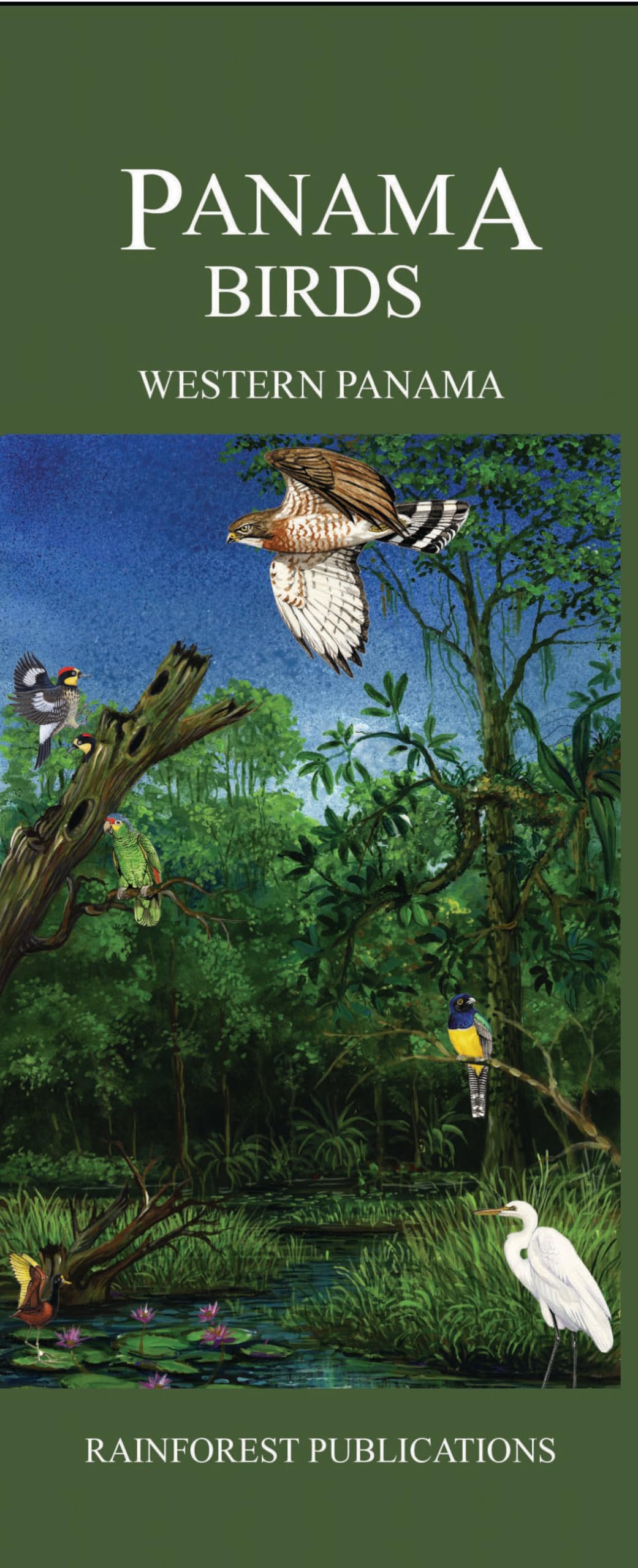 Western Panama Bird Guide (Laminated Foldout Pocket Field Guide) (English and Spanish Edition) book cover