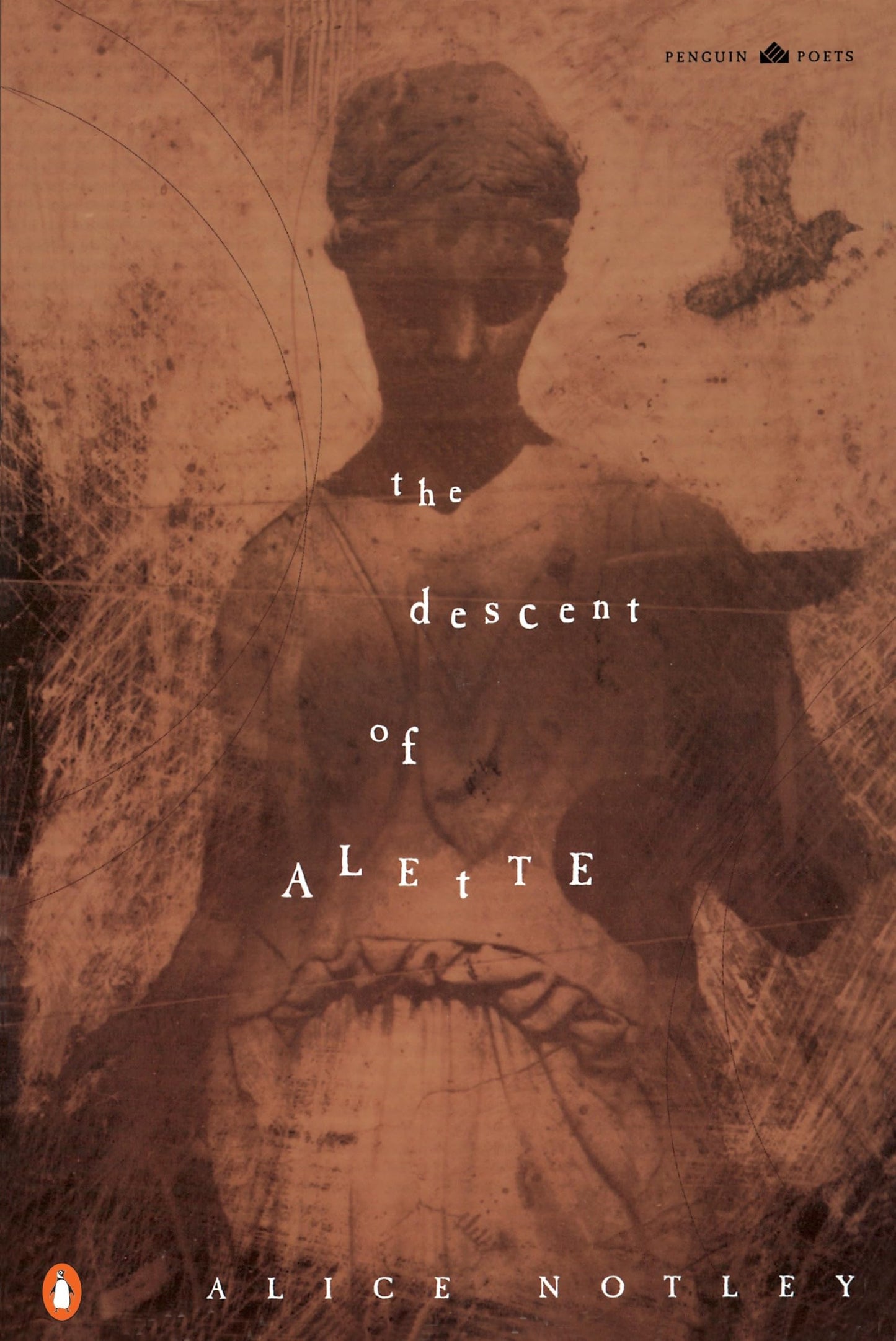 The Descent of Alette book cover