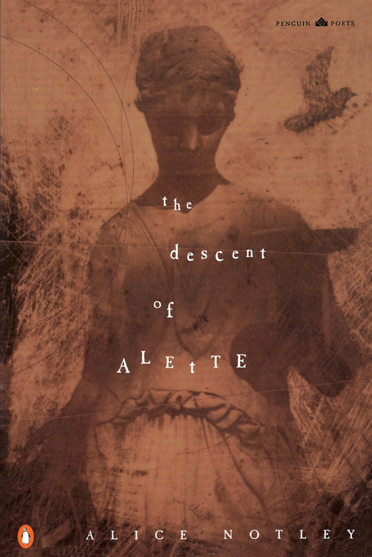 The Descent of Alette book cover