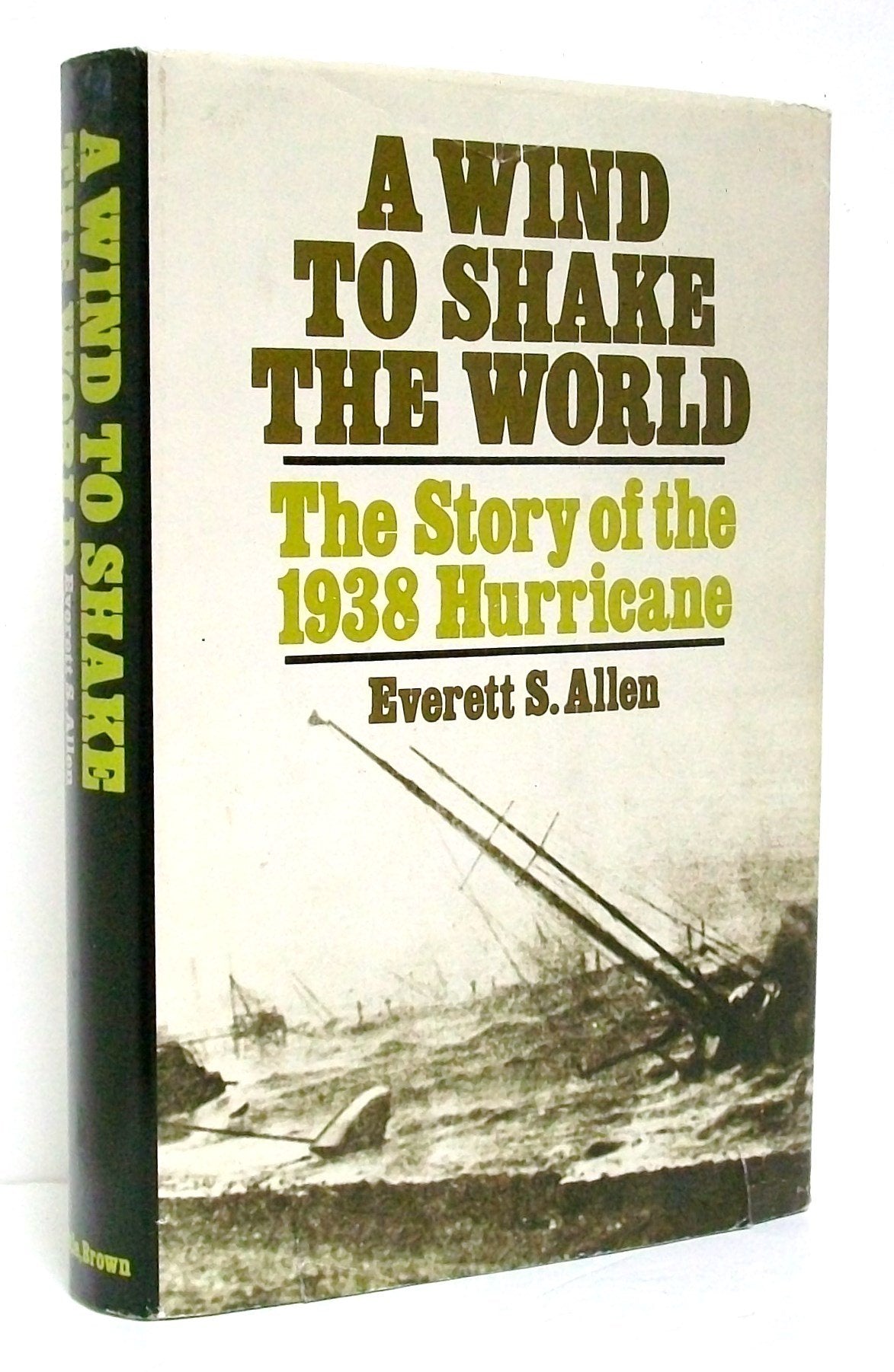 Wind to Shake the World: The Story of 1938