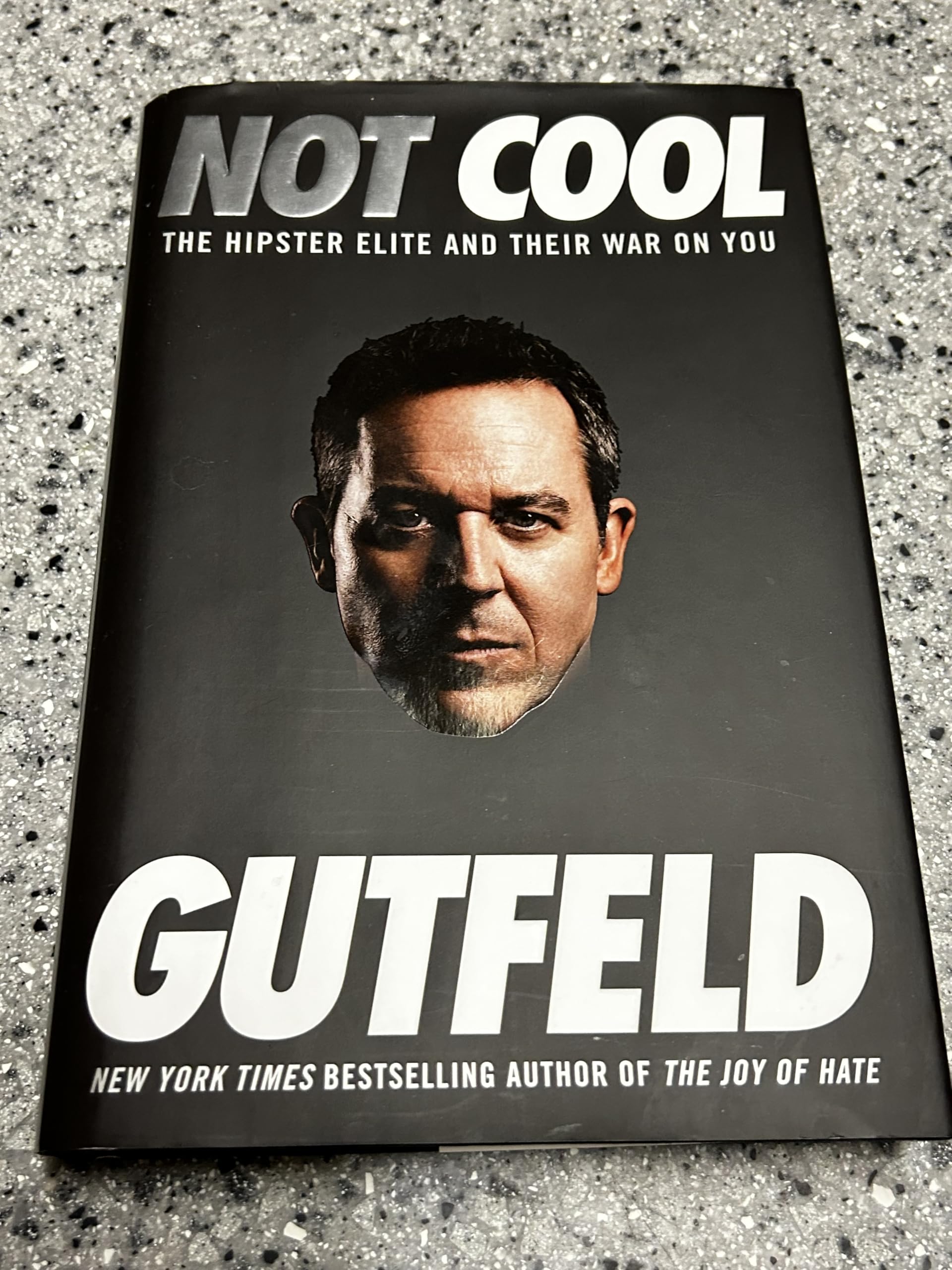 Not Cool: The Hipster Elite and Their War on You book cover