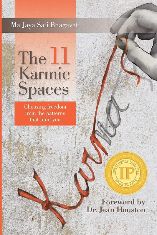 11 Karmic Spaces: Choosing Freedom from the Patterns that Bind You book cover