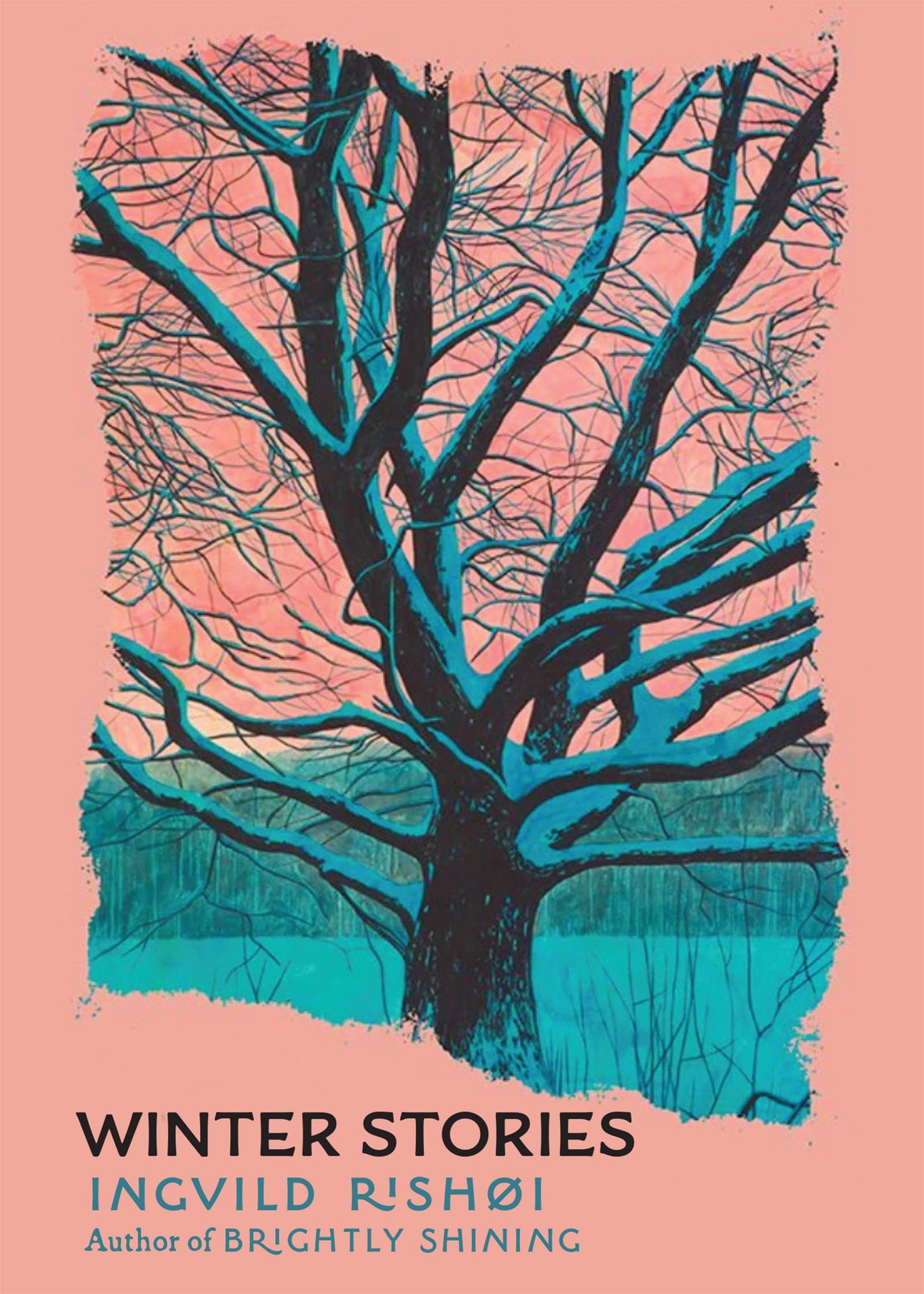 Winter Stories book cover