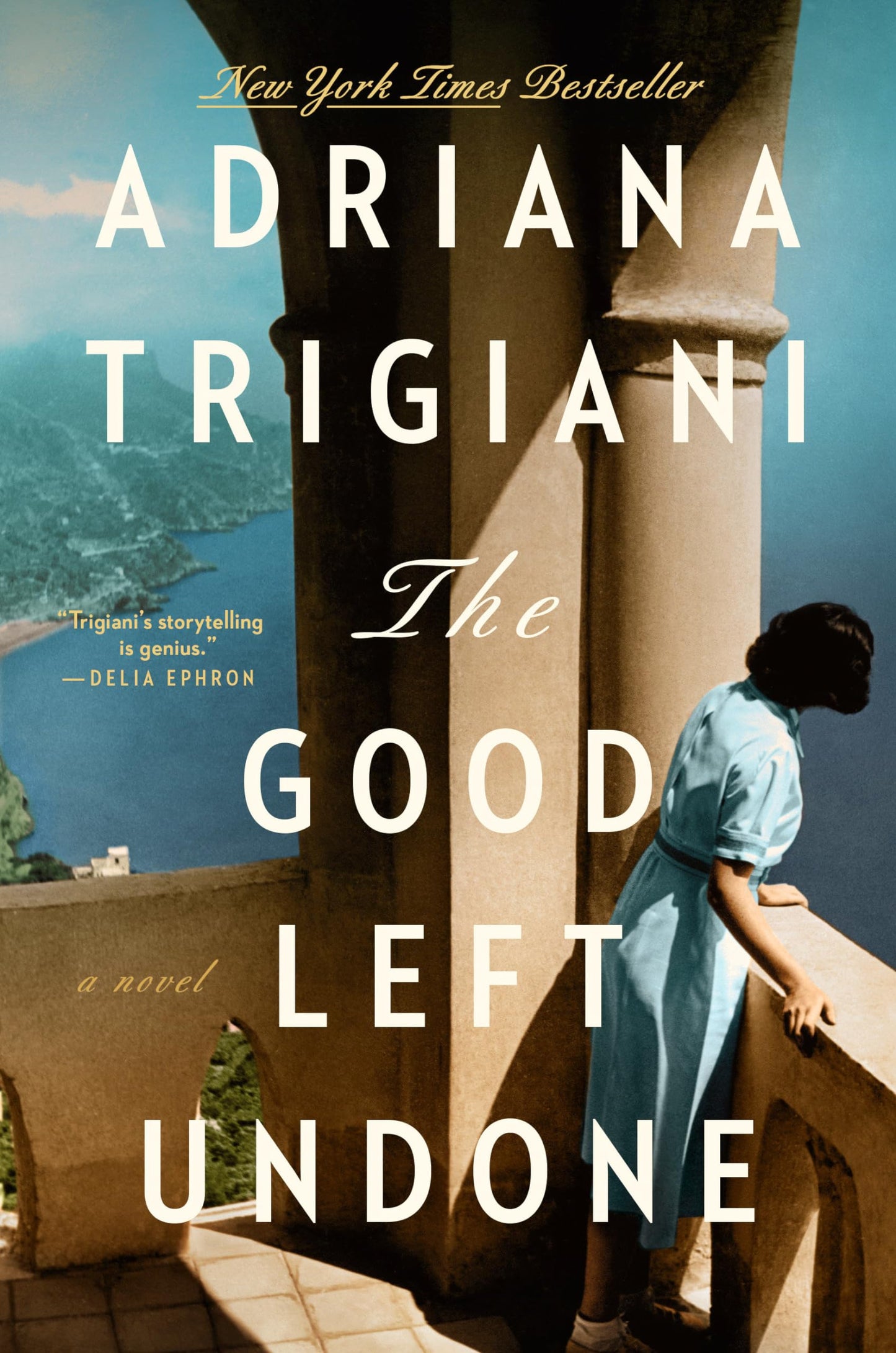 The Good Left Undone: A Novel book cover