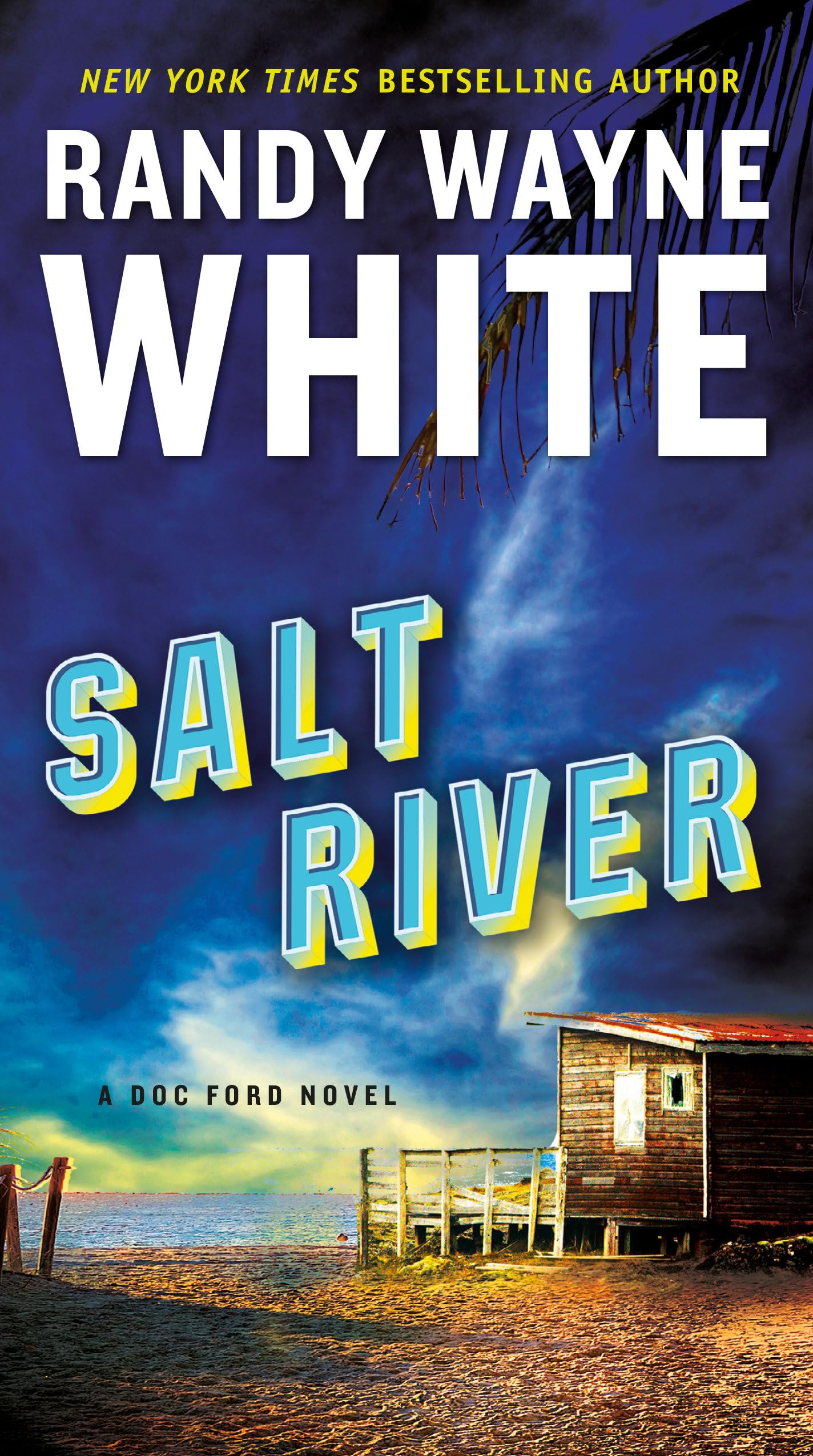 Salt River book cover