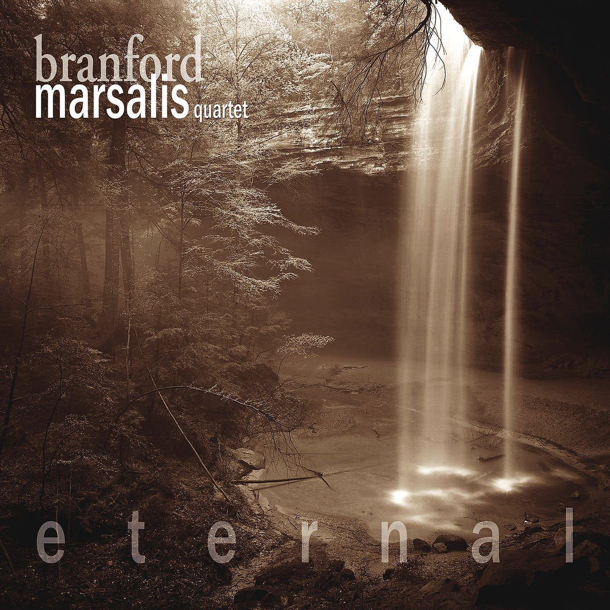 Eternal book cover