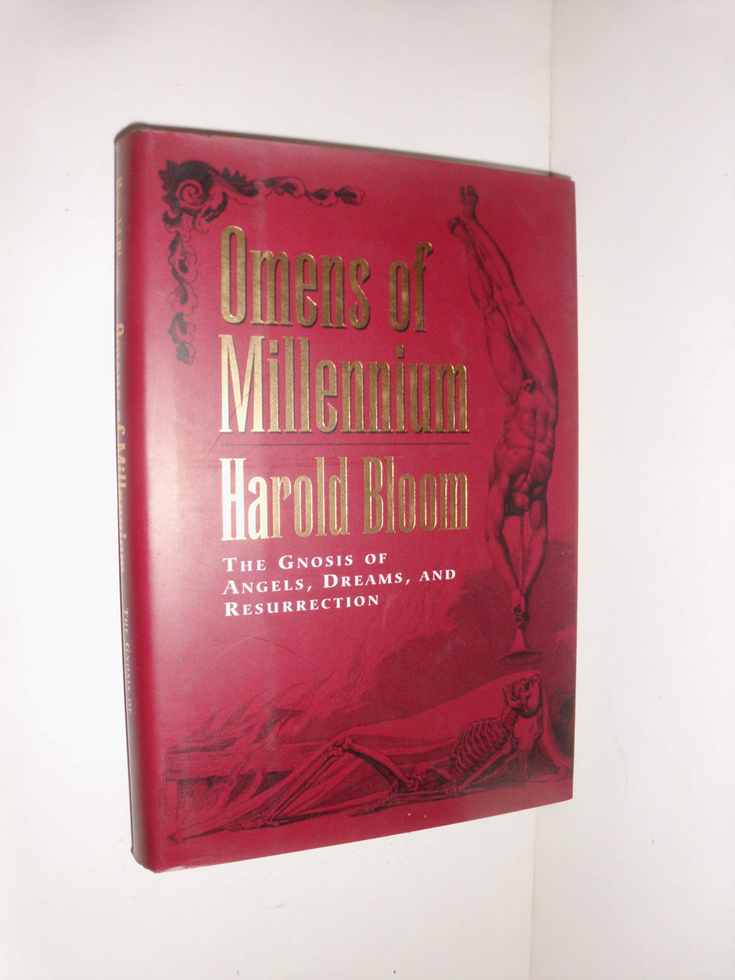 Omens of the Millenium book cover