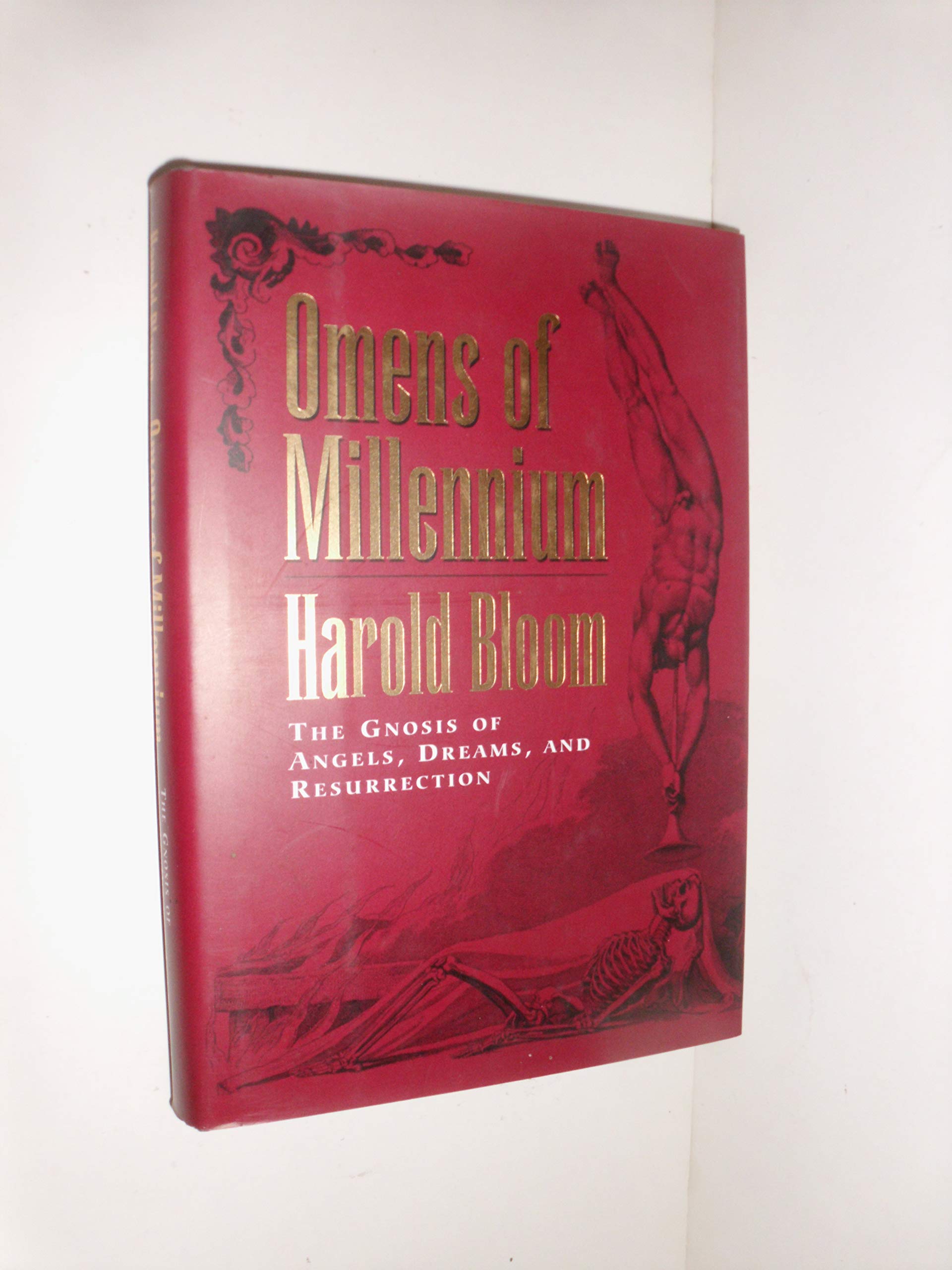 Omens of the Millenium book cover