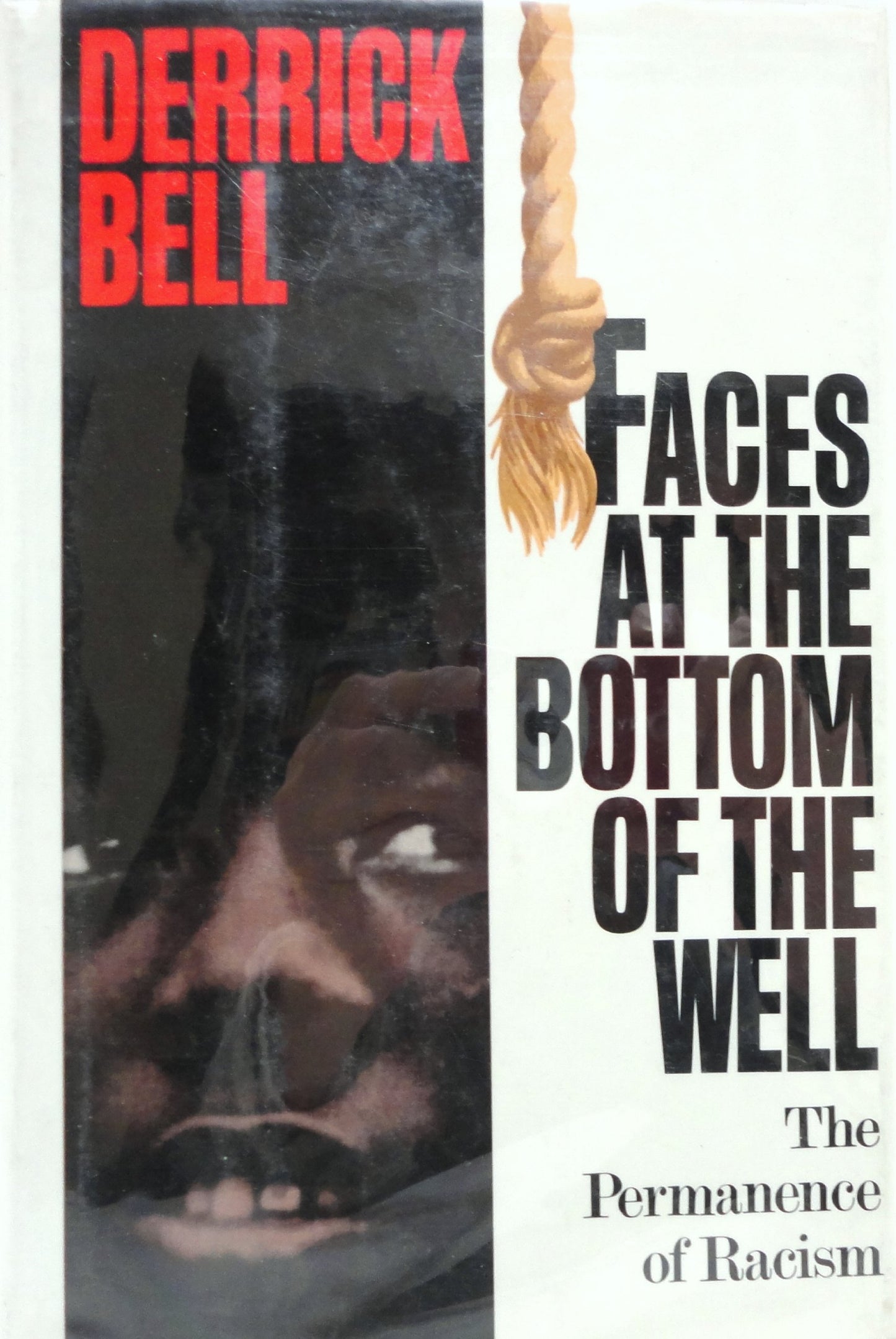 Faces at the Bottom of the Well: The Permanence of Racism book cover