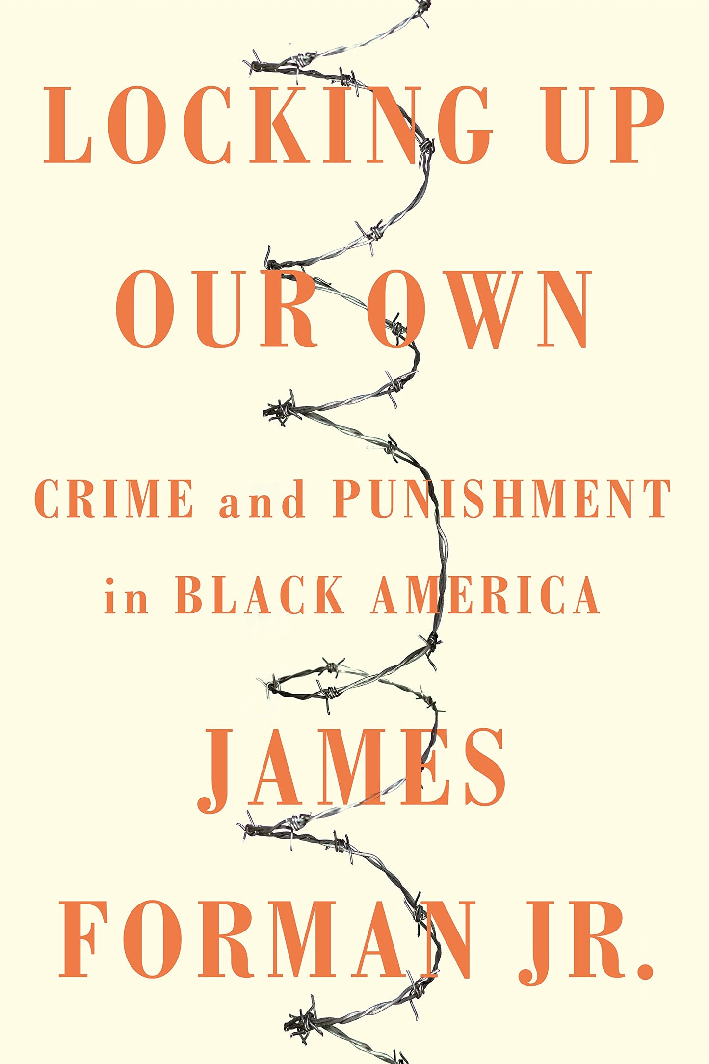 Locking Up Our Own: Crime and Punishment in Black America book cover
