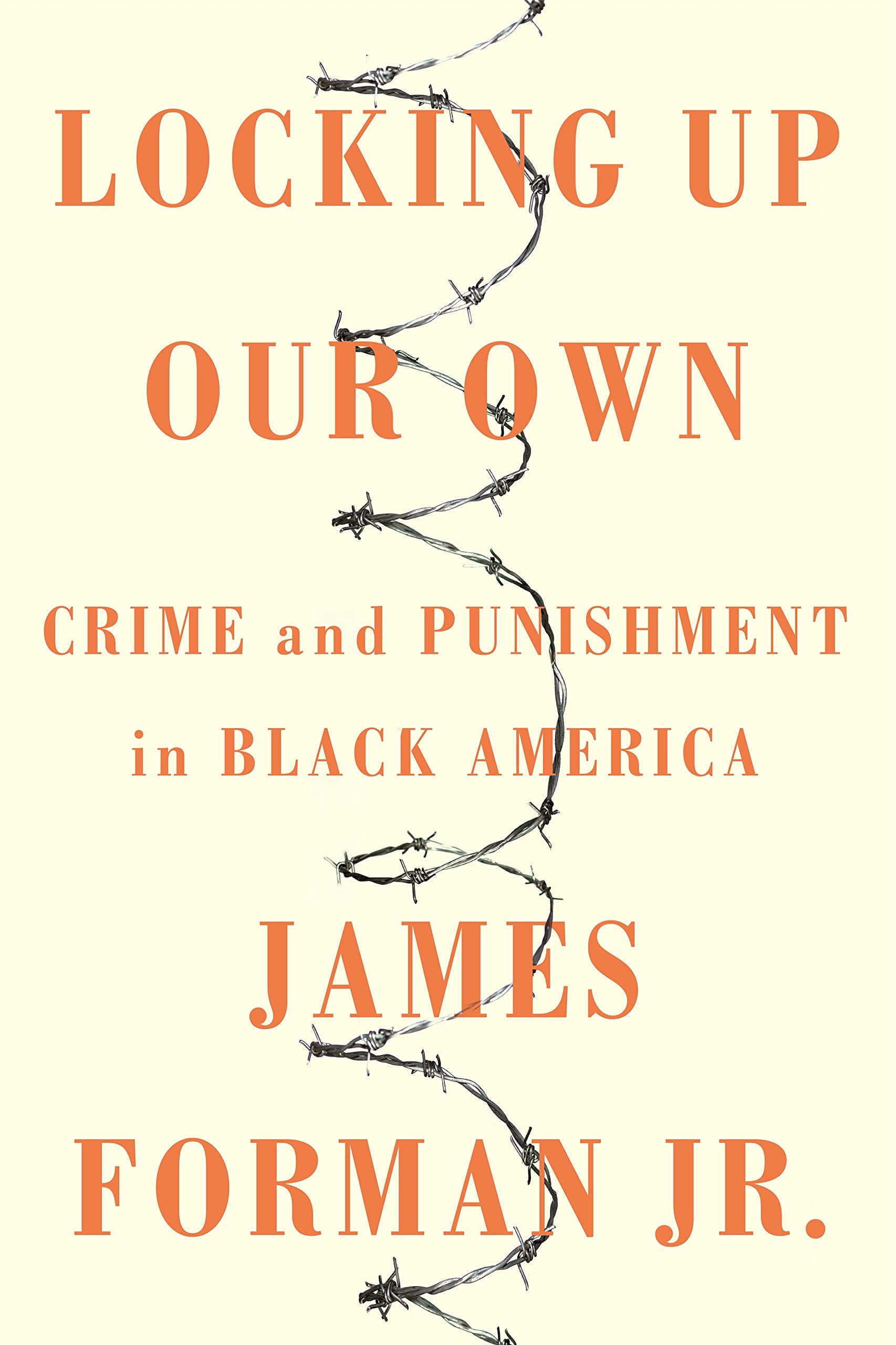 Locking Up Our Own: Crime and Punishment in Black America book cover