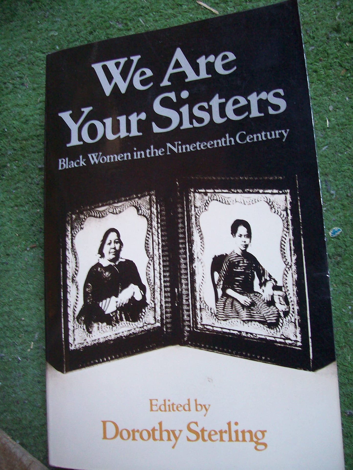 We Are Your Sisters book cover