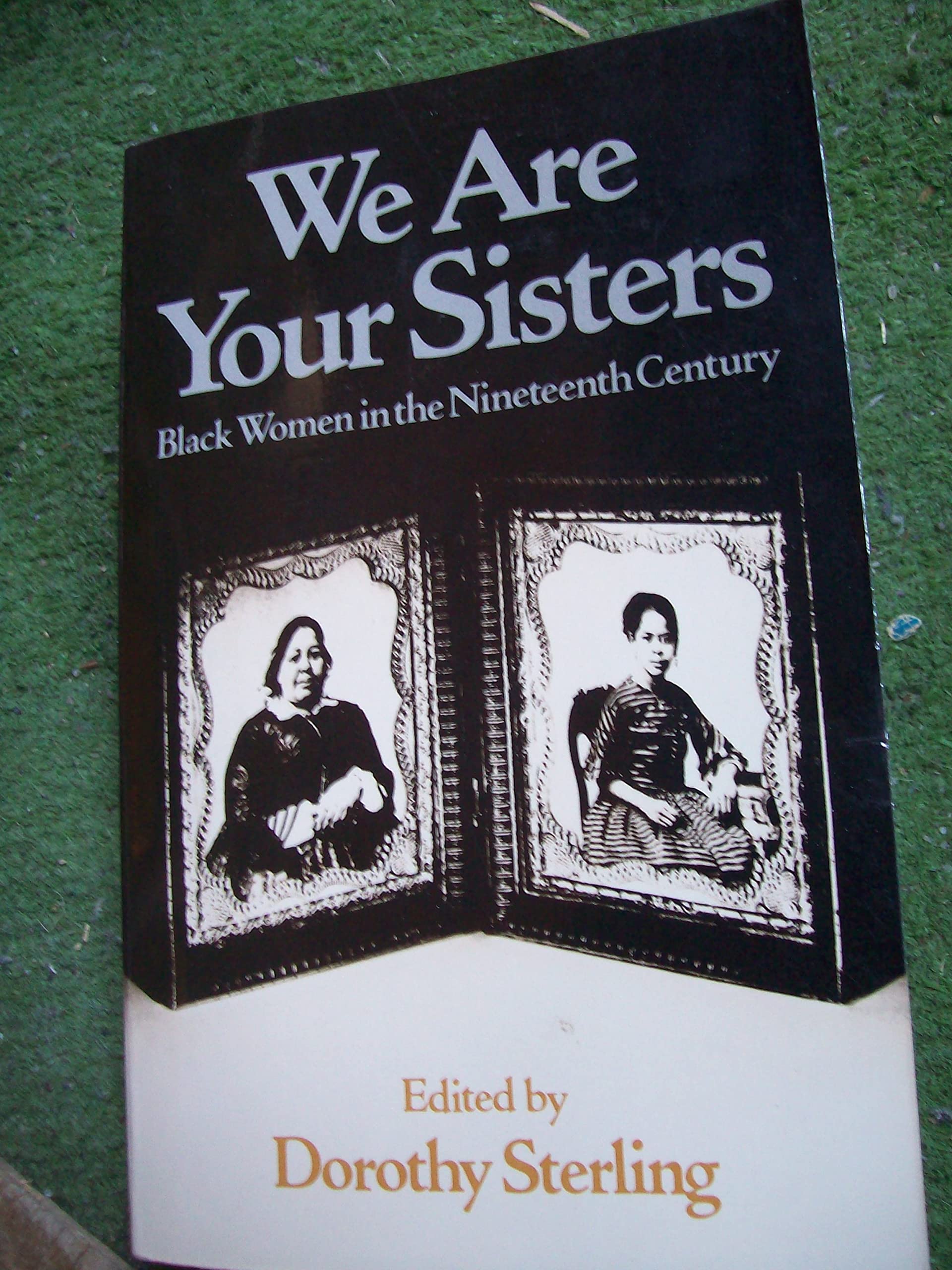 We Are Your Sisters book cover