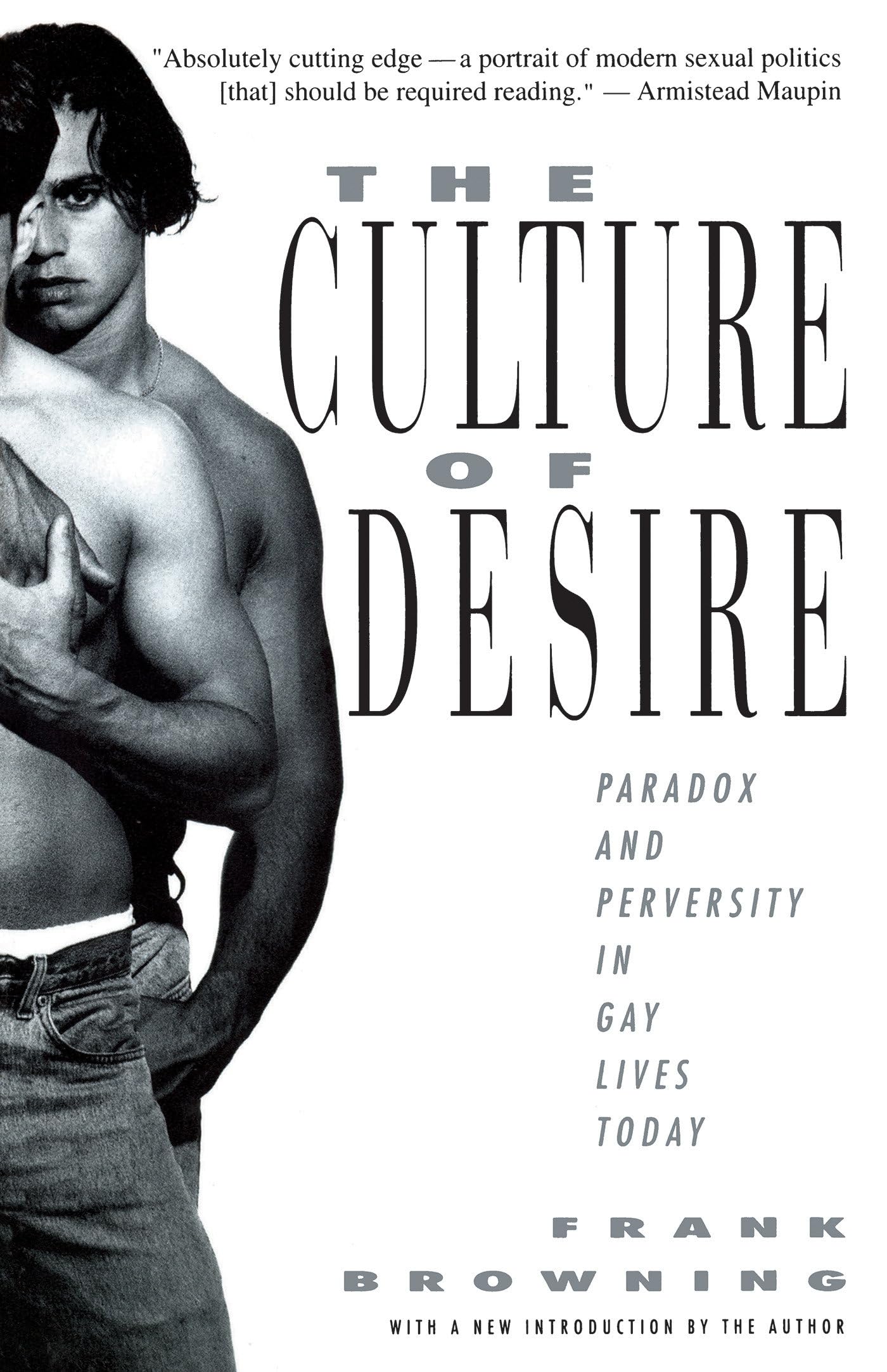 Culture of Desire: Paradox and Perversity in Gay Lives Today book cover